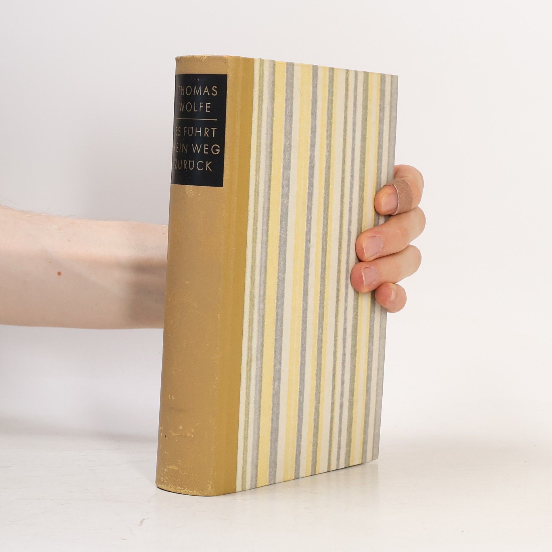 Thomas Wolfe Es führt kein Weg zurück
