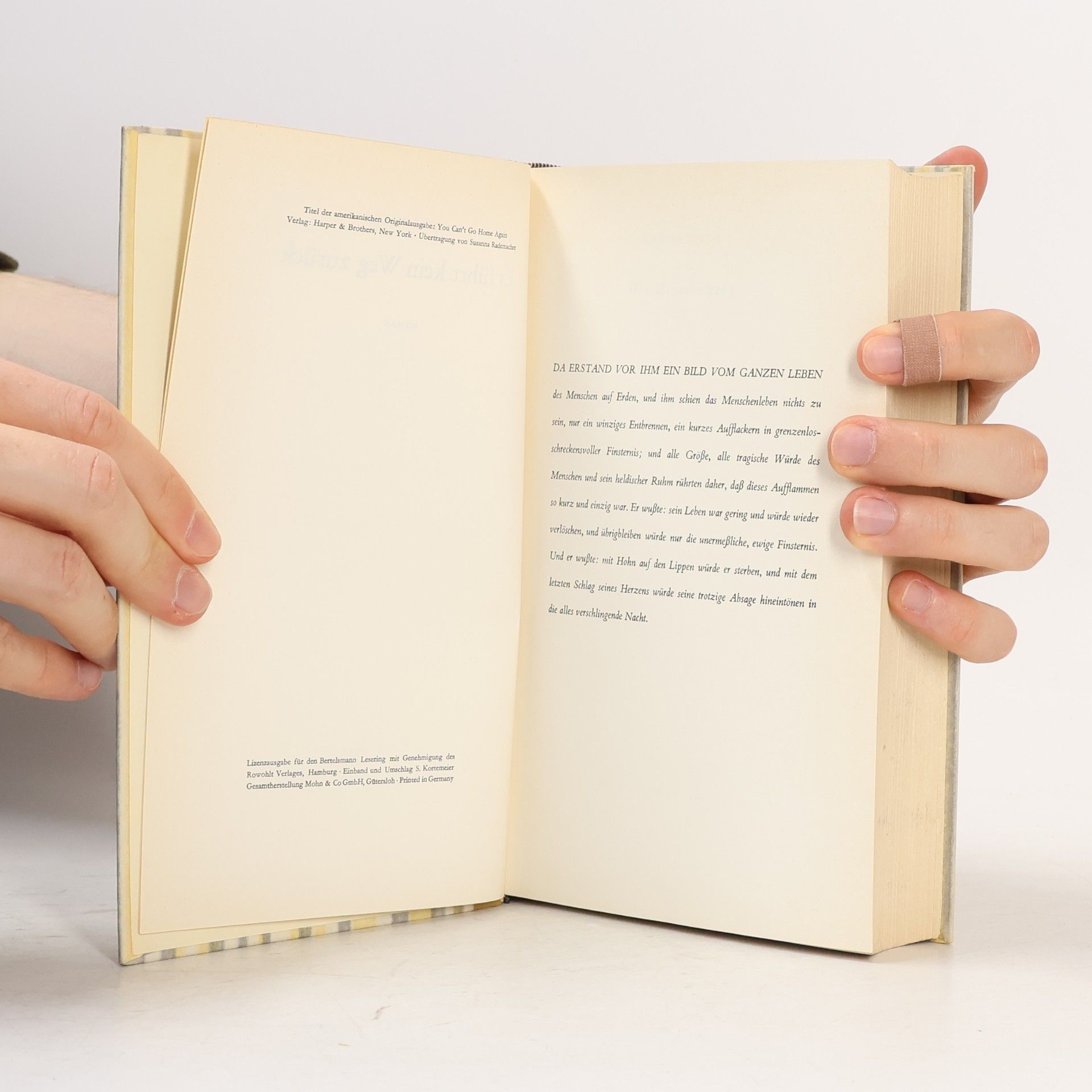 Thomas Wolfe Es führt kein Weg zurück