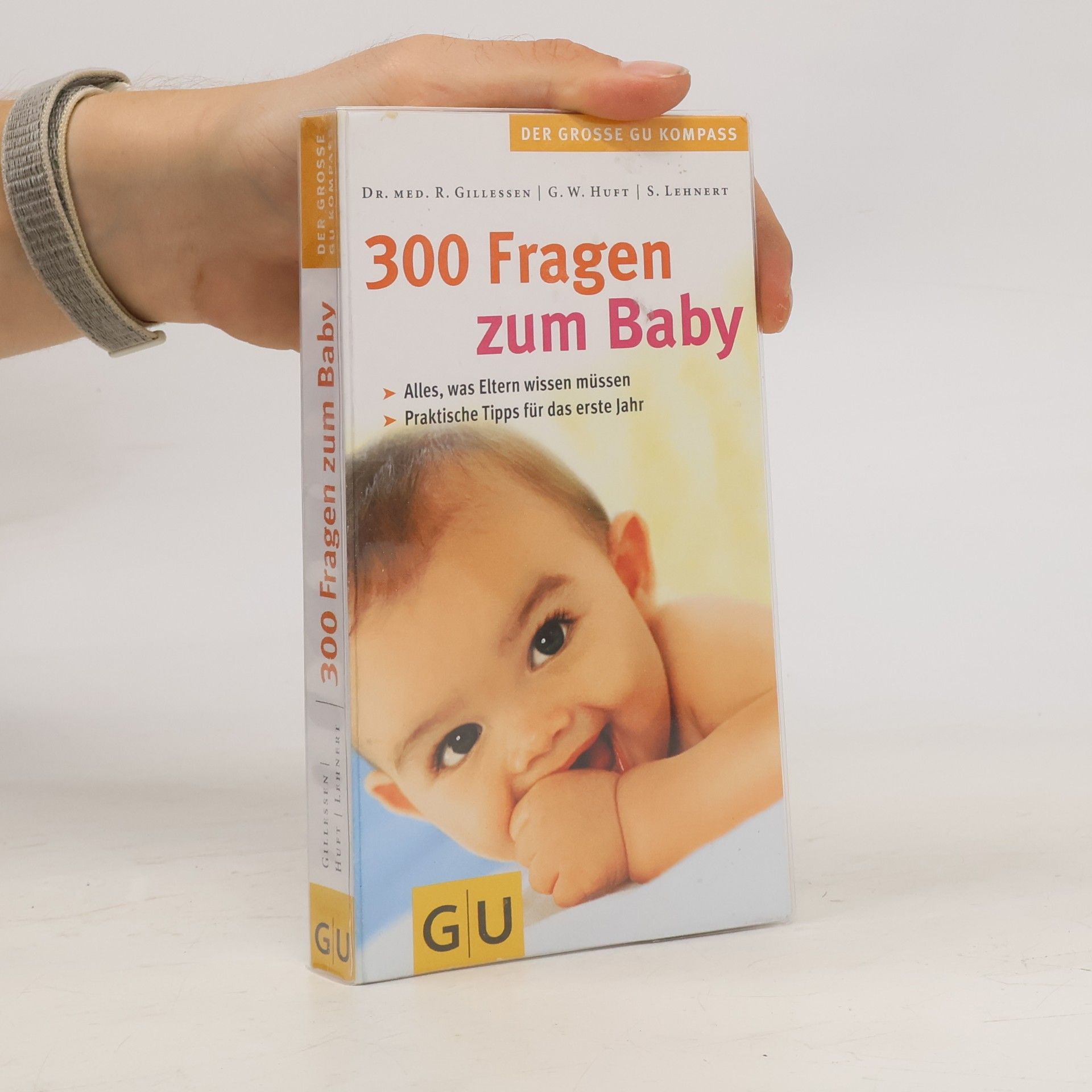 Rainer Gillesen 300 Fragen zum Baby