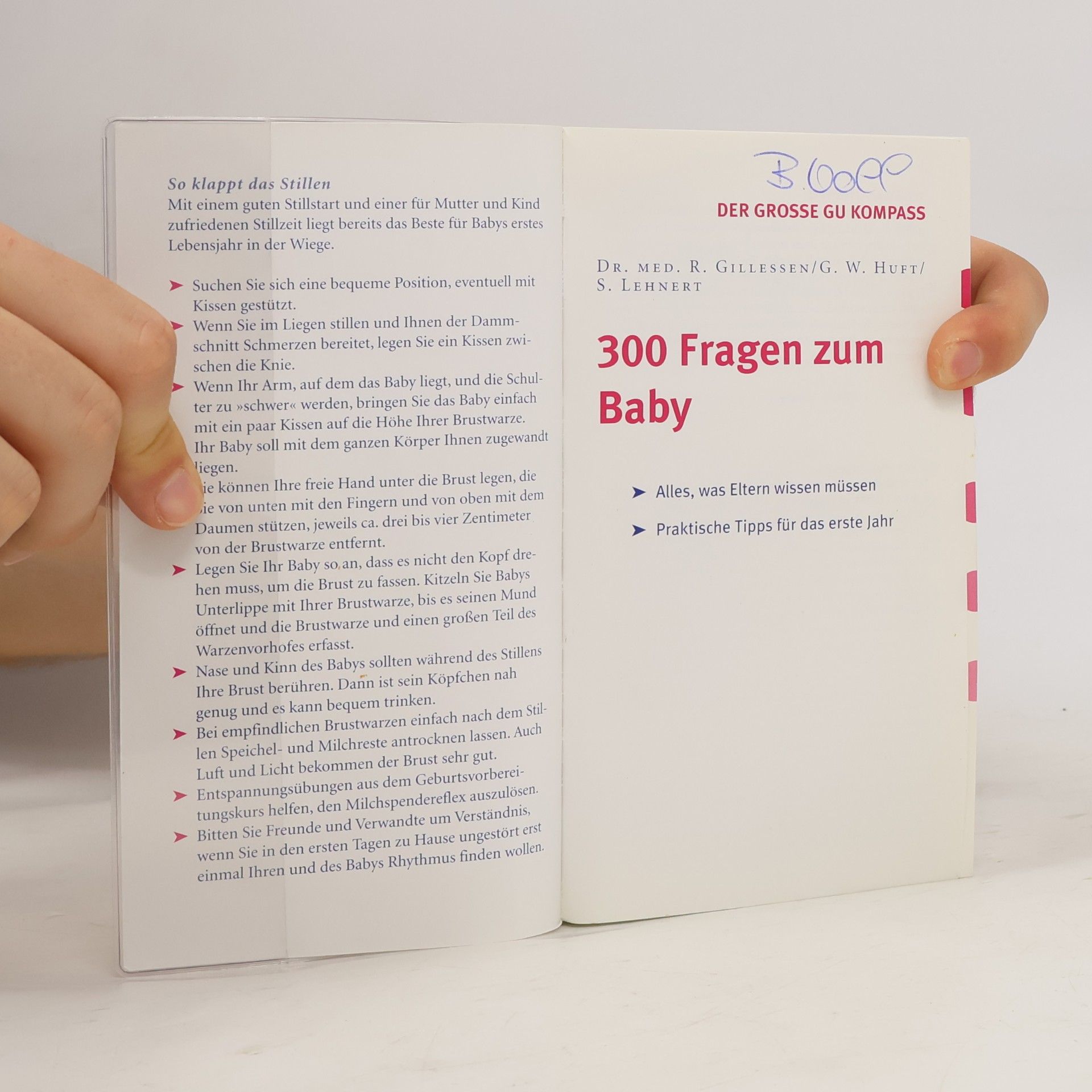 Rainer Gillesen 300 Fragen zum Baby