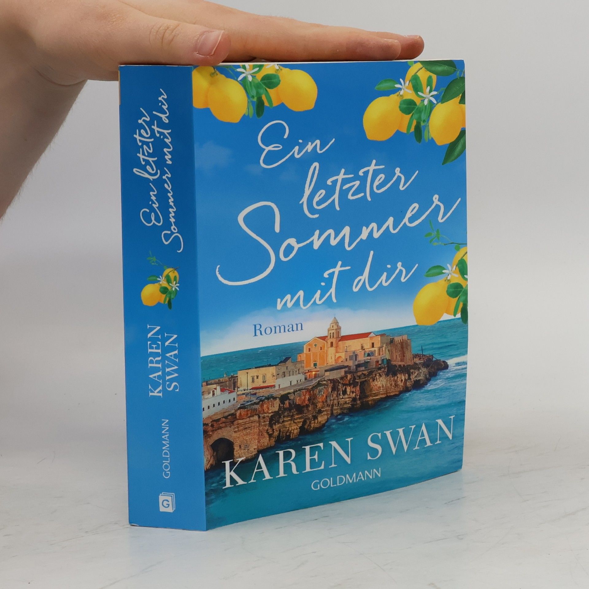 Karen Swan Ein letzter Sommer mit dir