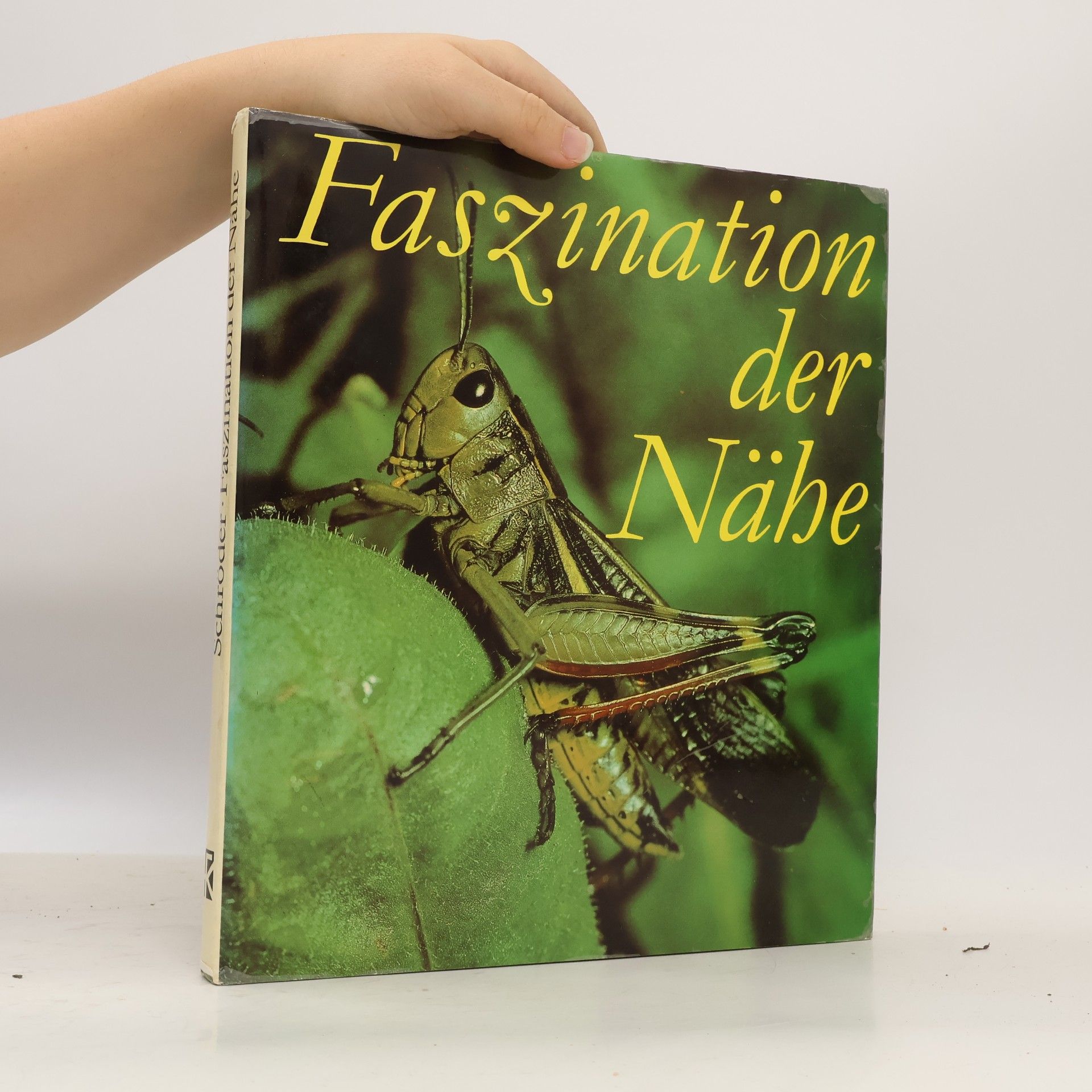 Kolektív autorov Faszination der Nabe