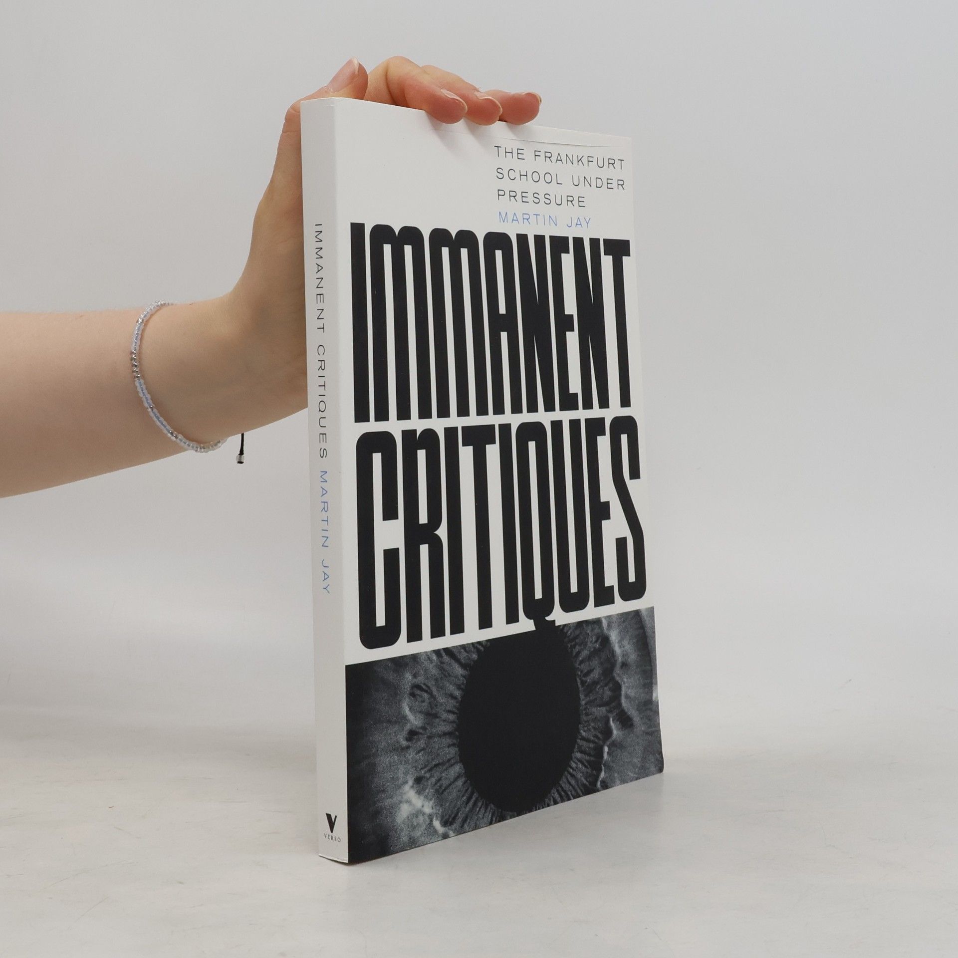 Martin Jay Immanent Critiques