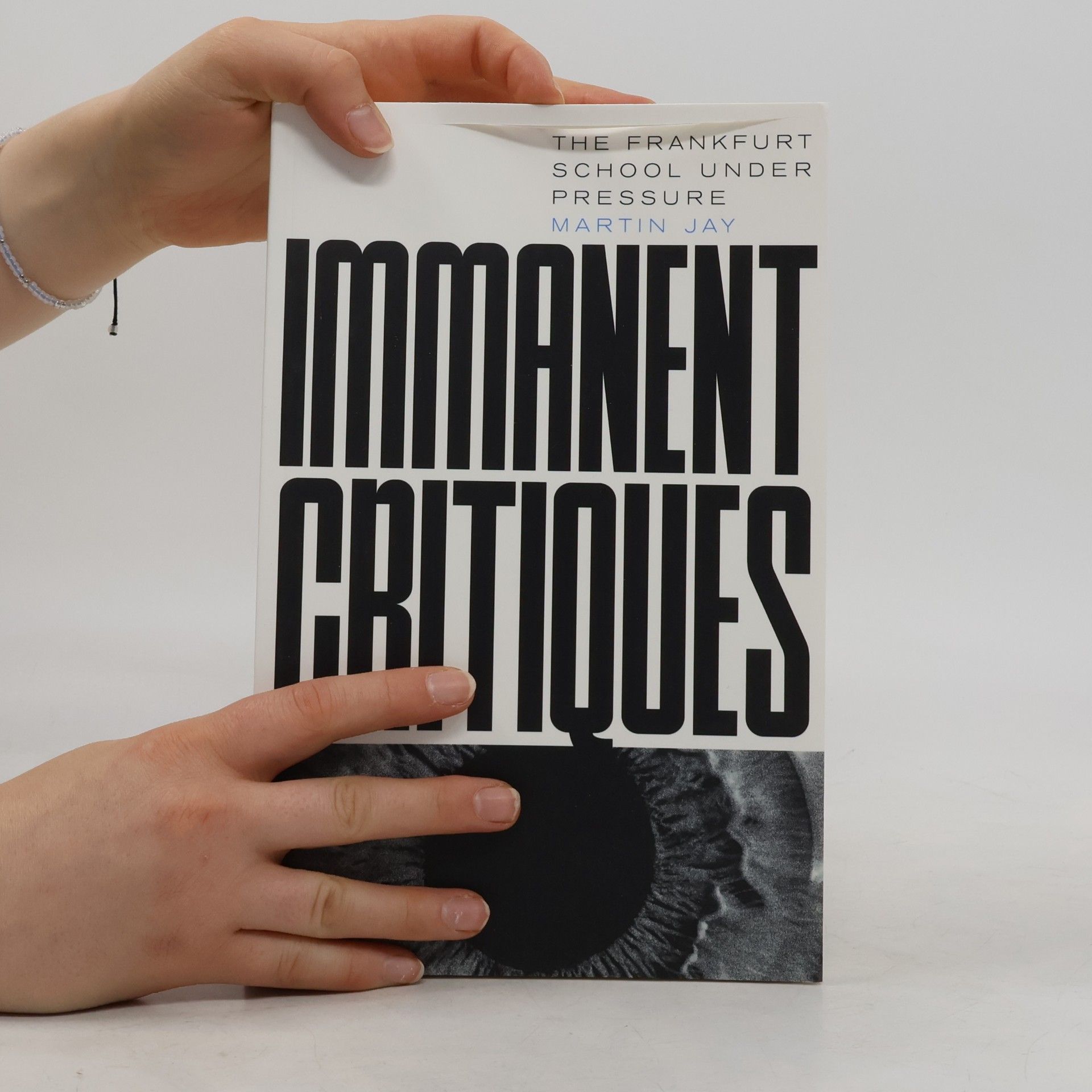 Martin Jay Immanent Critiques