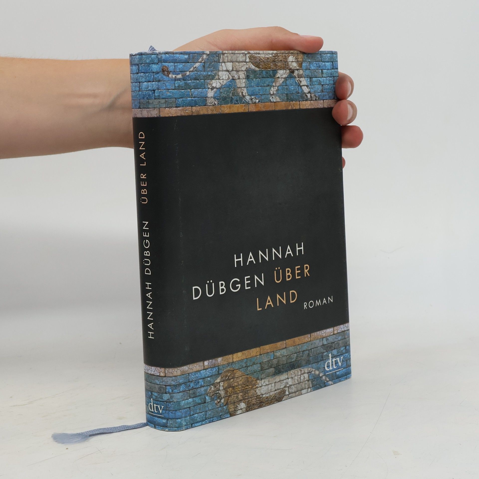Hannah Dübgen Über Land