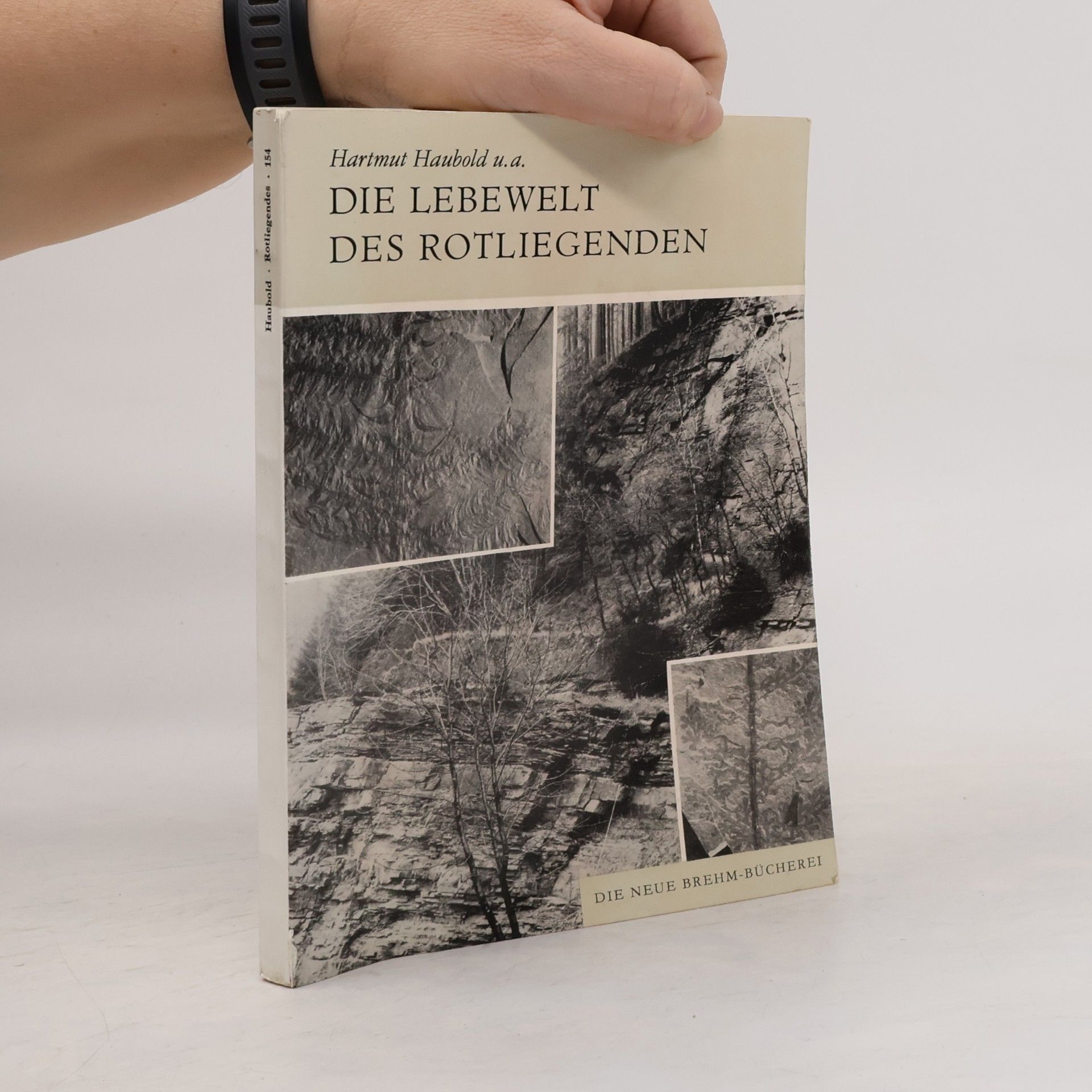 Die Lebewelt des Rotliegenden