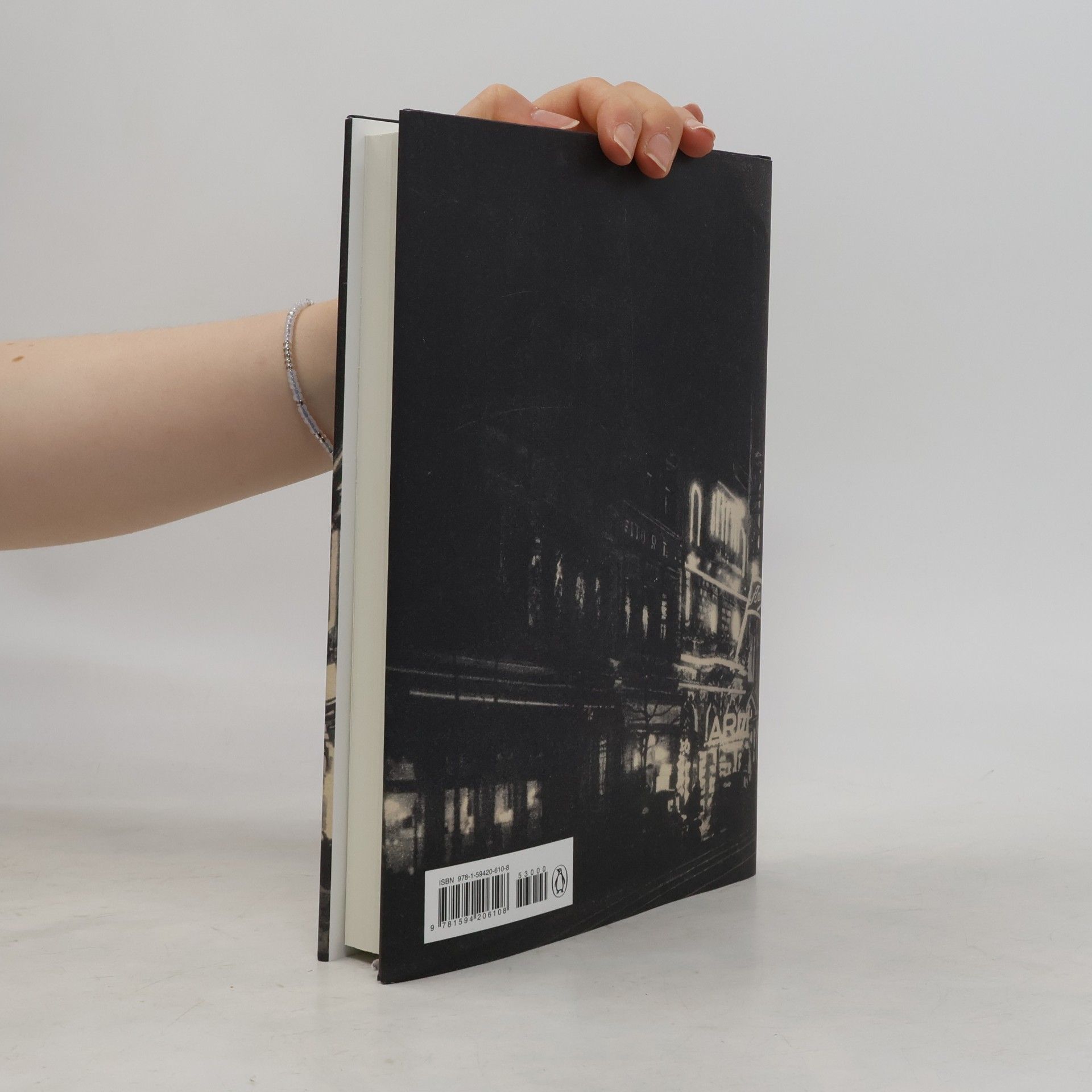 Thomas Pynchon Shadow Ticket