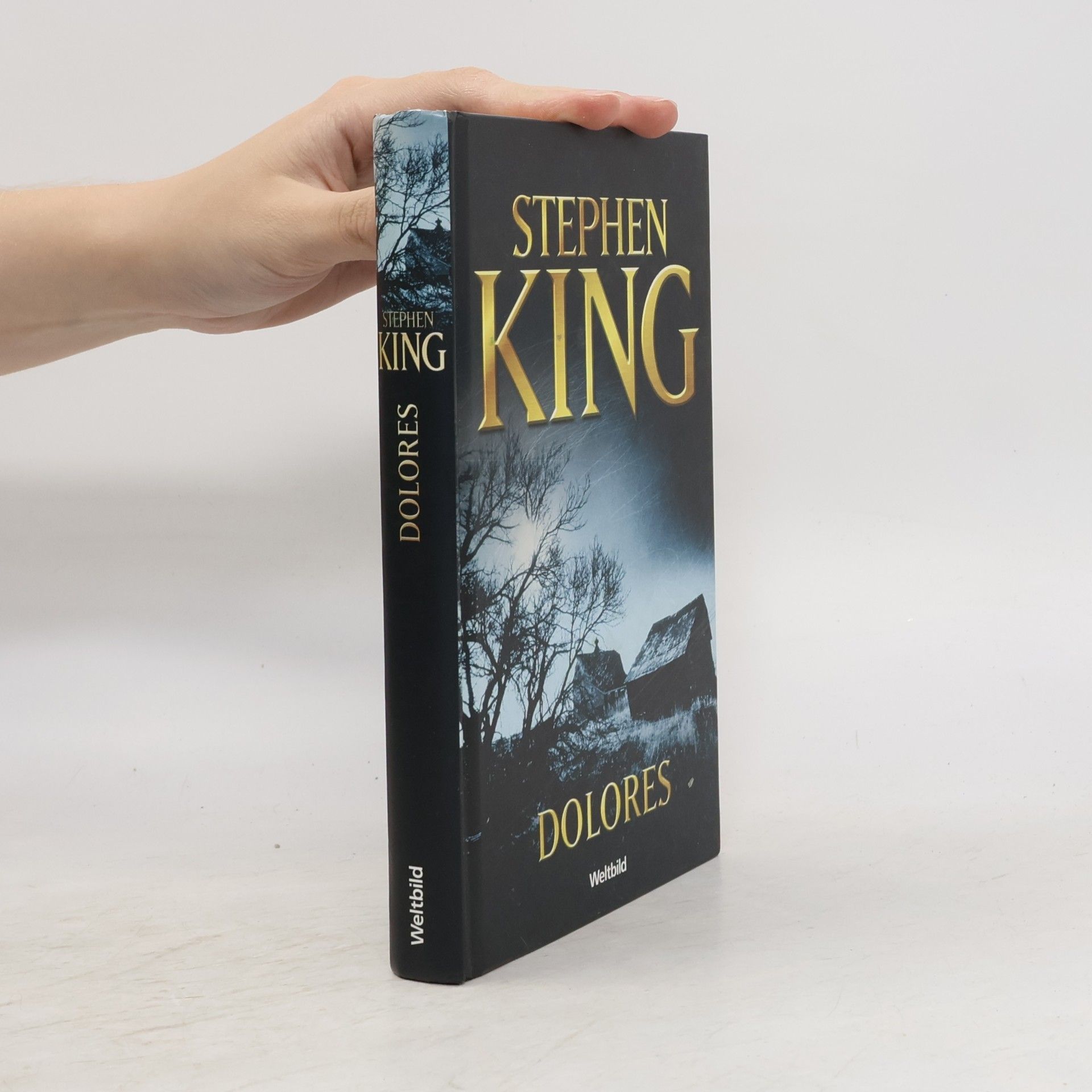 Stephen King Dolores