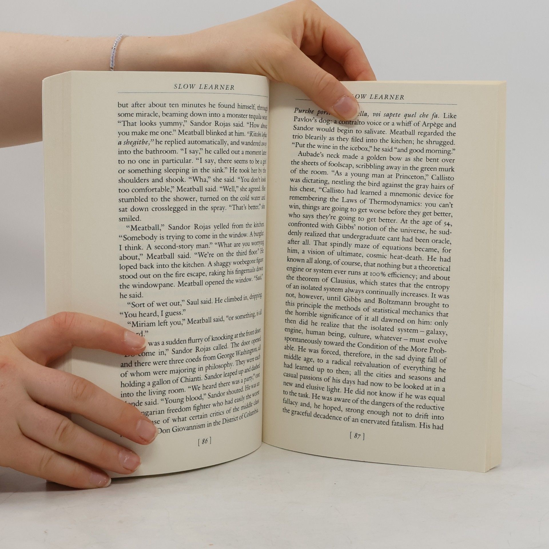 Thomas Pynchon Slow Learner