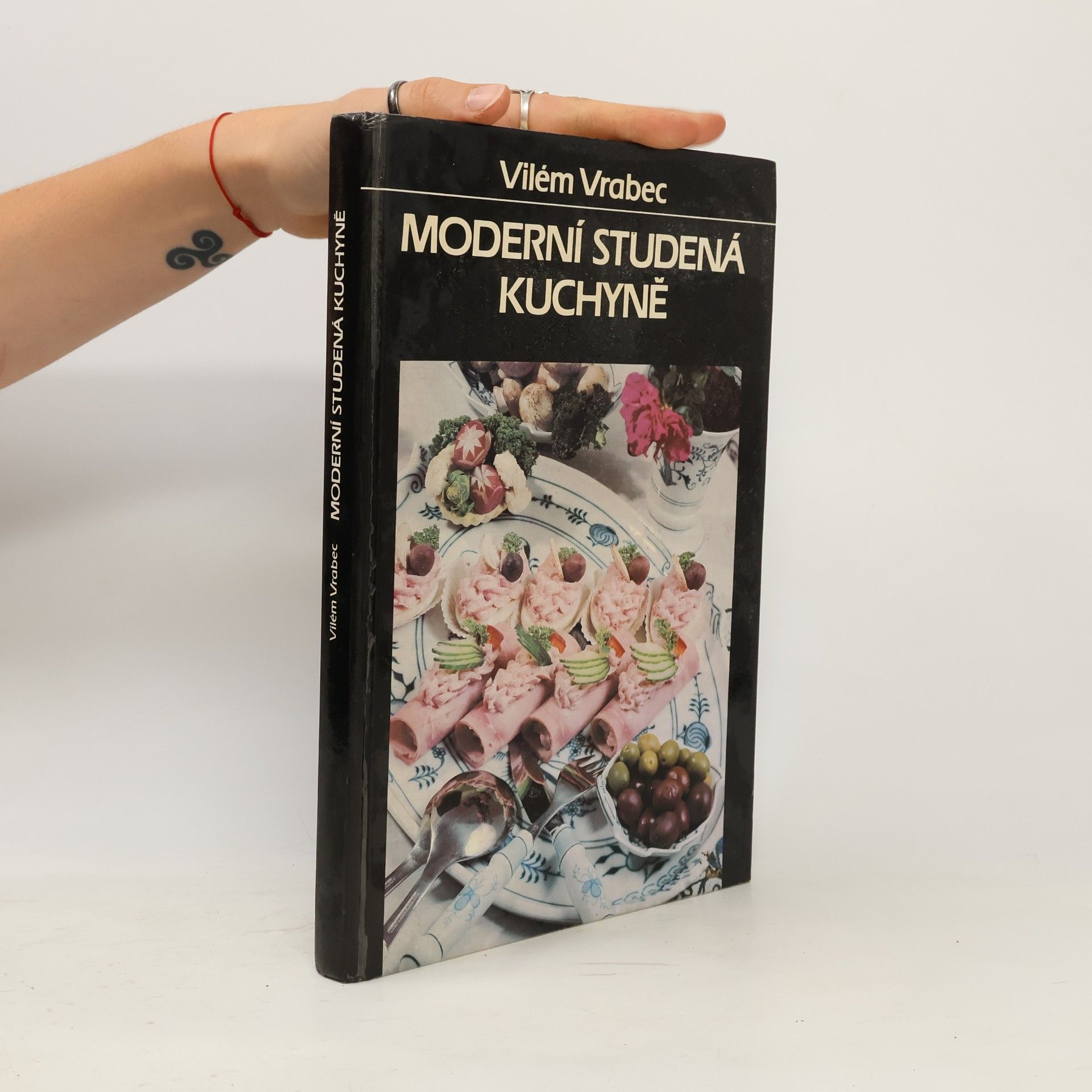 Vilém Vrabec Moderní studená kuchyně