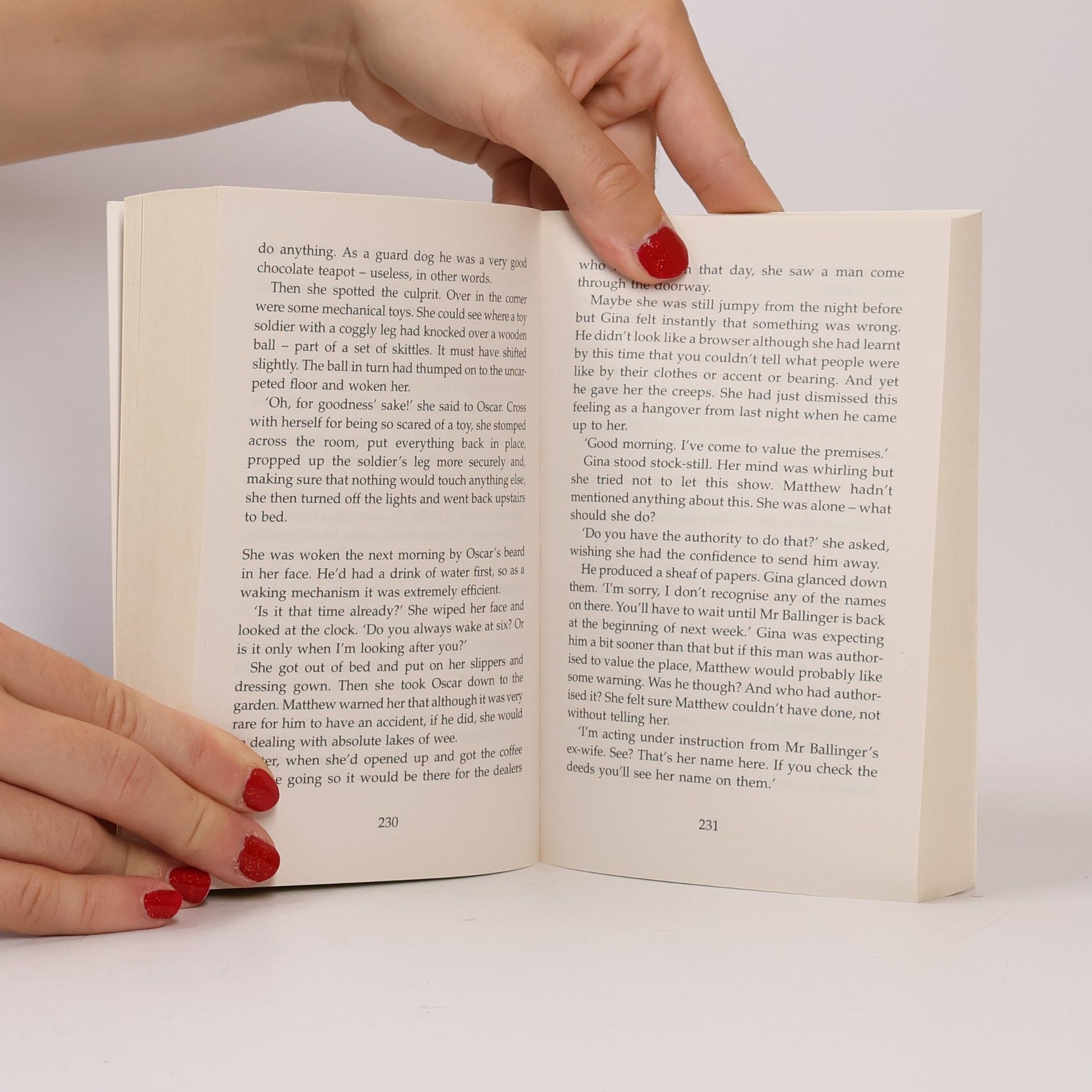 Katie Fforde A French affair
