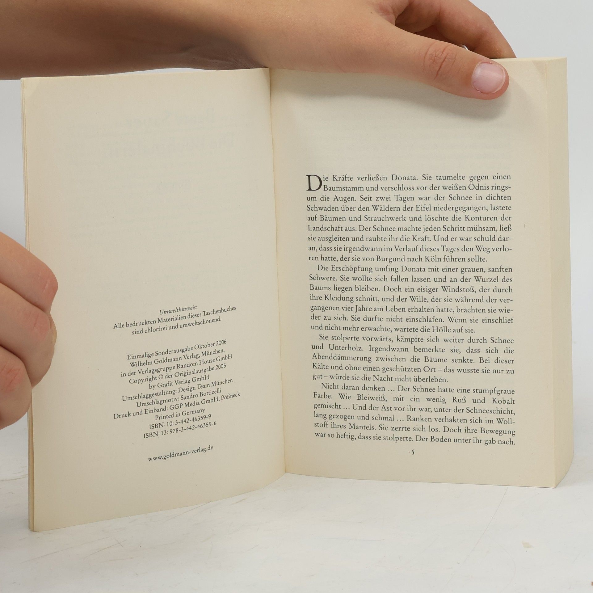 Beate Sauer Die Buchmalerin