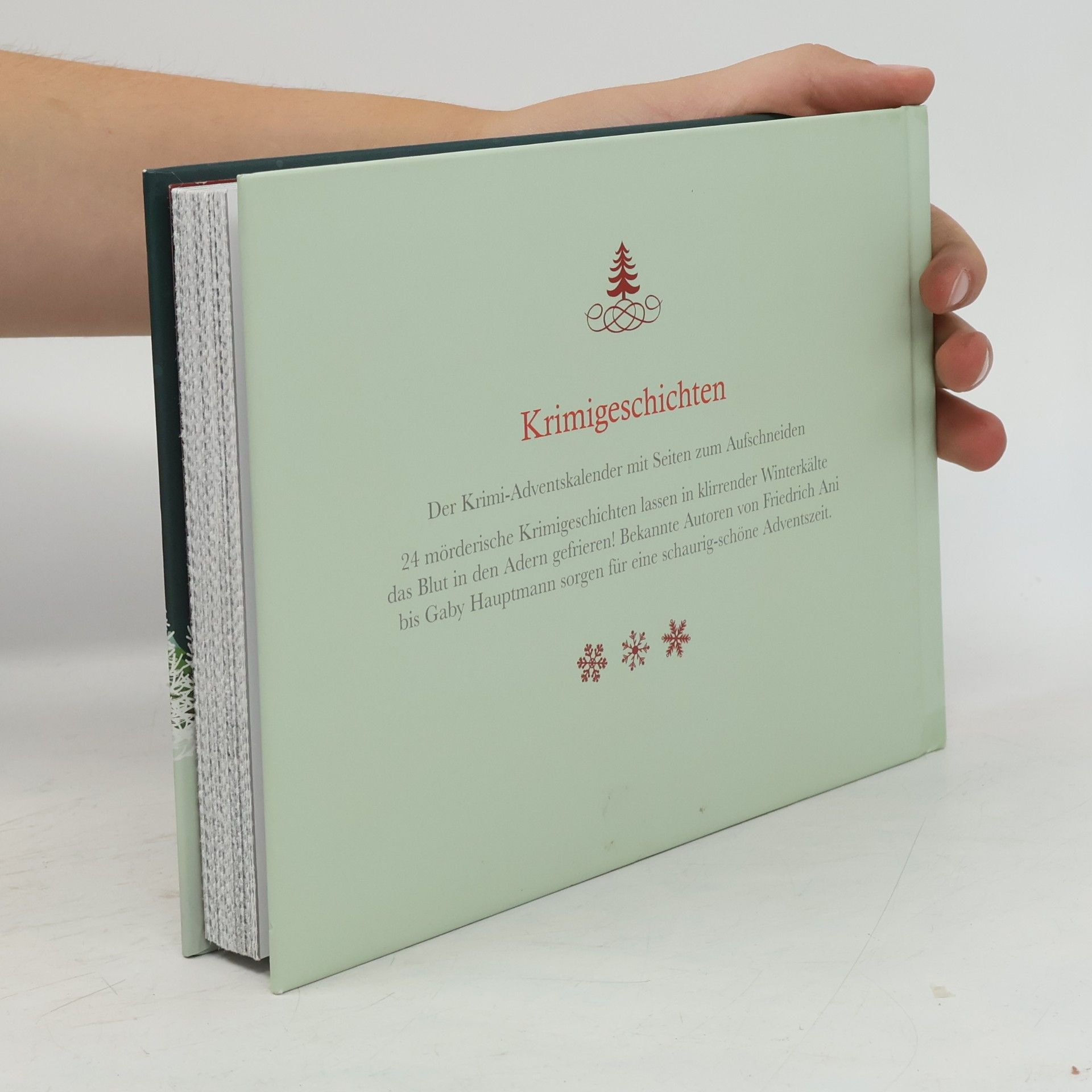 24 spannende Krimigeschichten für den Advent