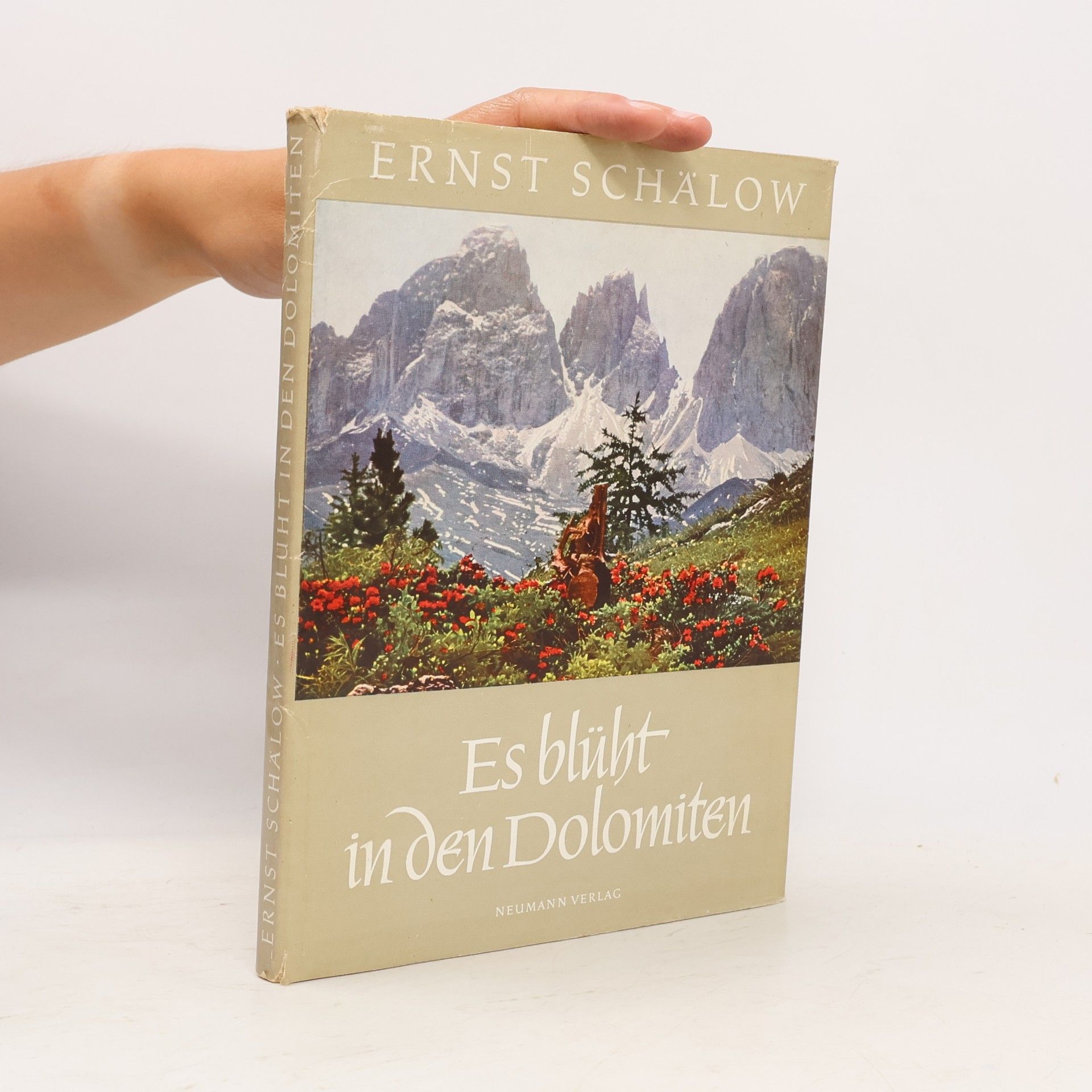 Ernst Schälow Es blüht in den Dolomiten
