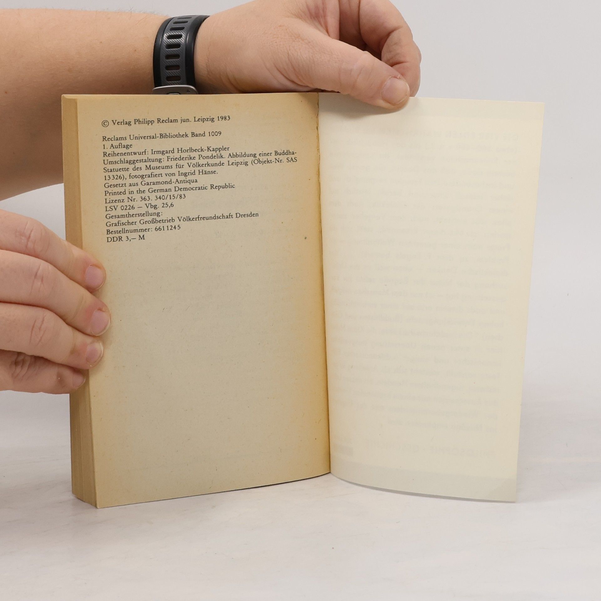 Kolektiv autorů Die vier edlen Wahrheiten