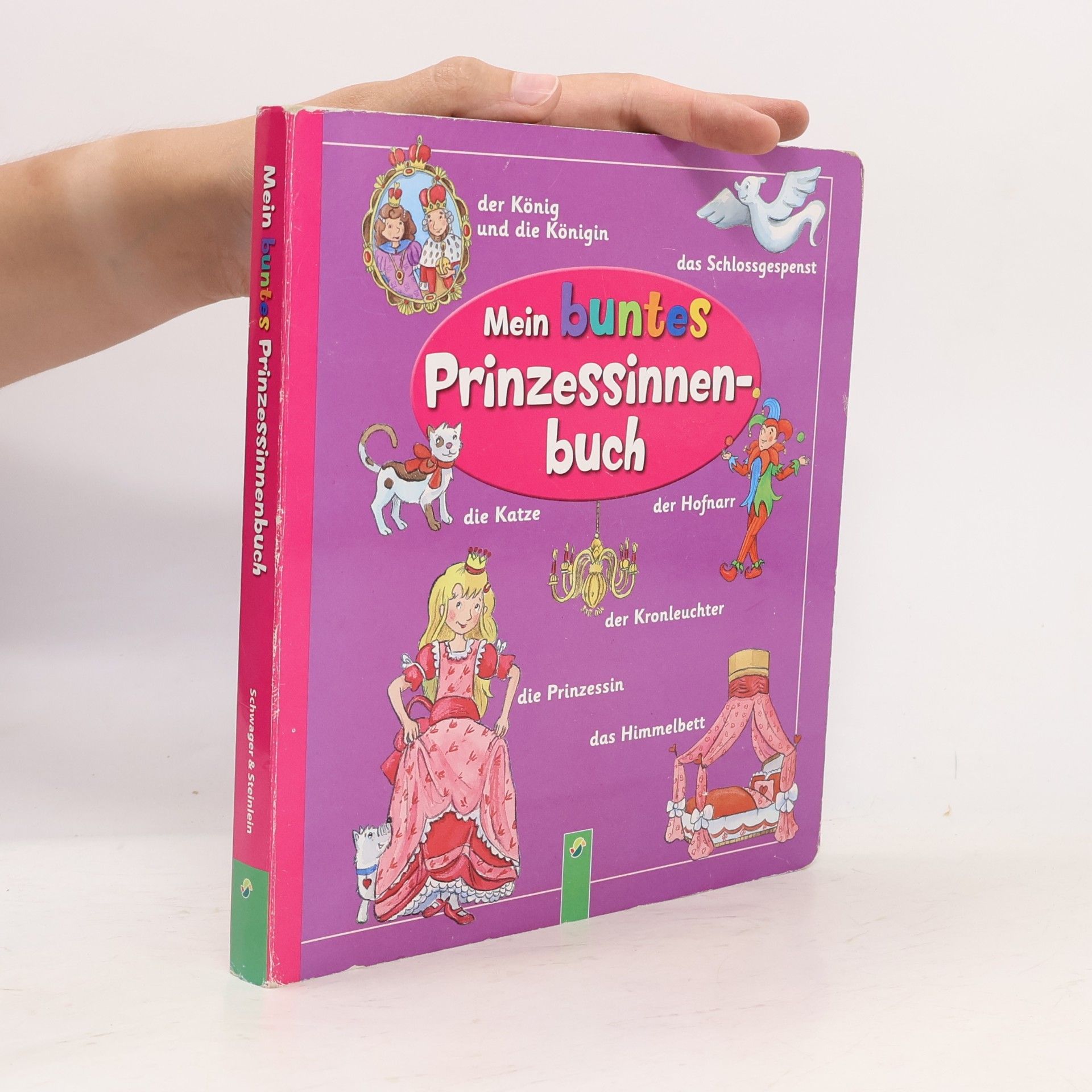 Stefanie Klassen Moje pestrá knížka o princeznách