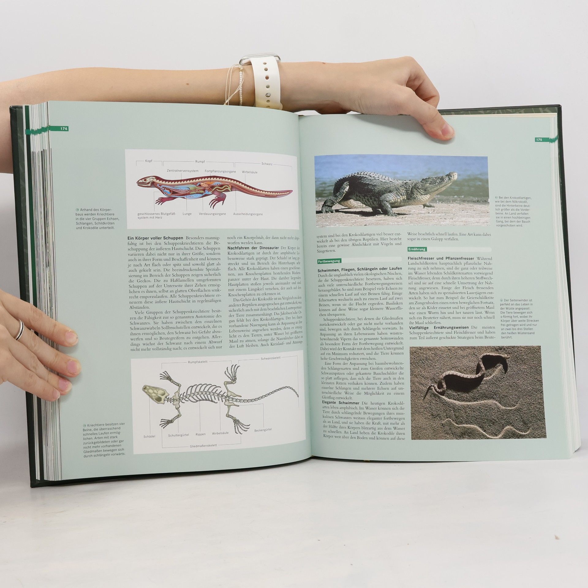 Autores varios Faszination Natur. Amphibien und Reptilien