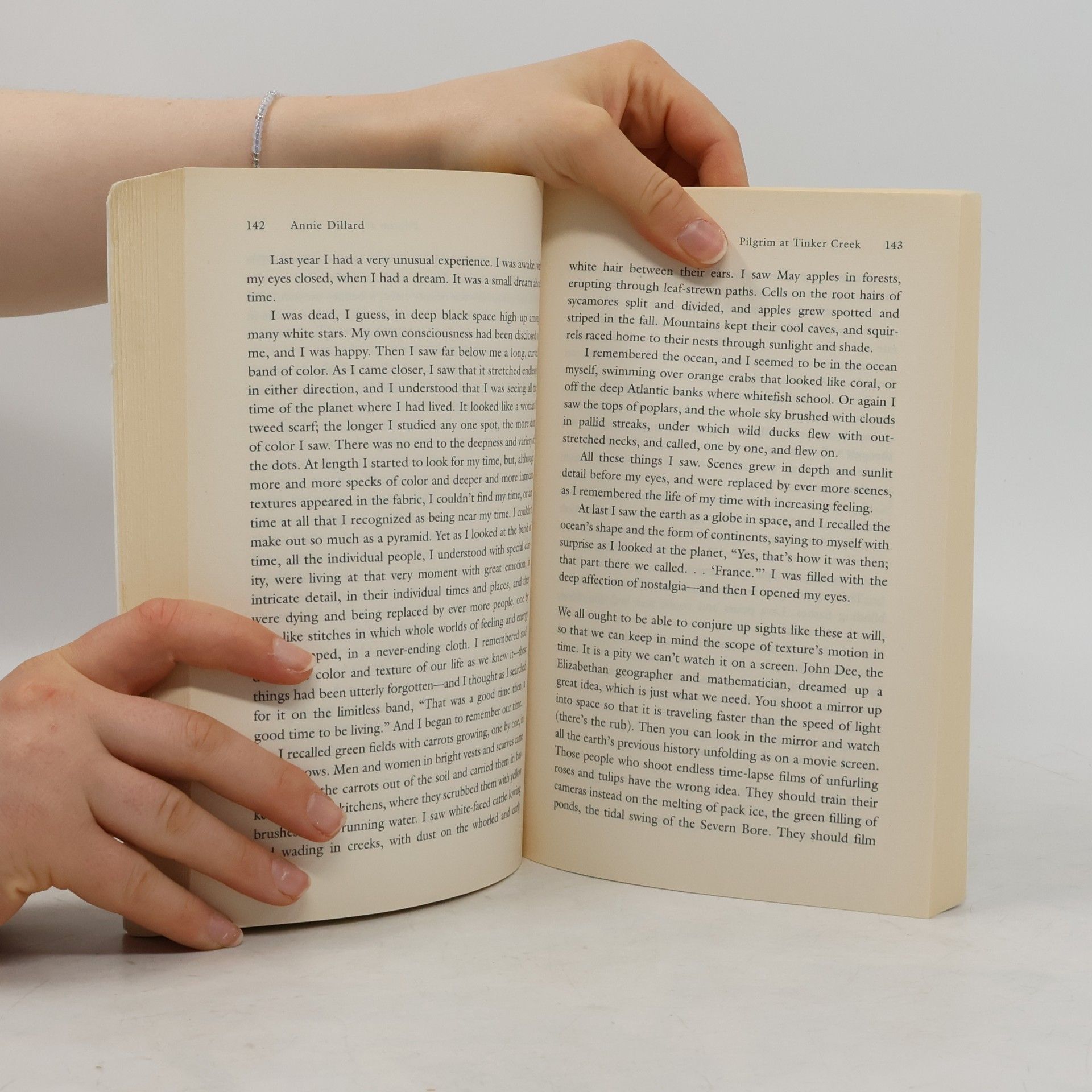 Annie Dillard Perennial Classics: Pilgrim at Tinker Creek
