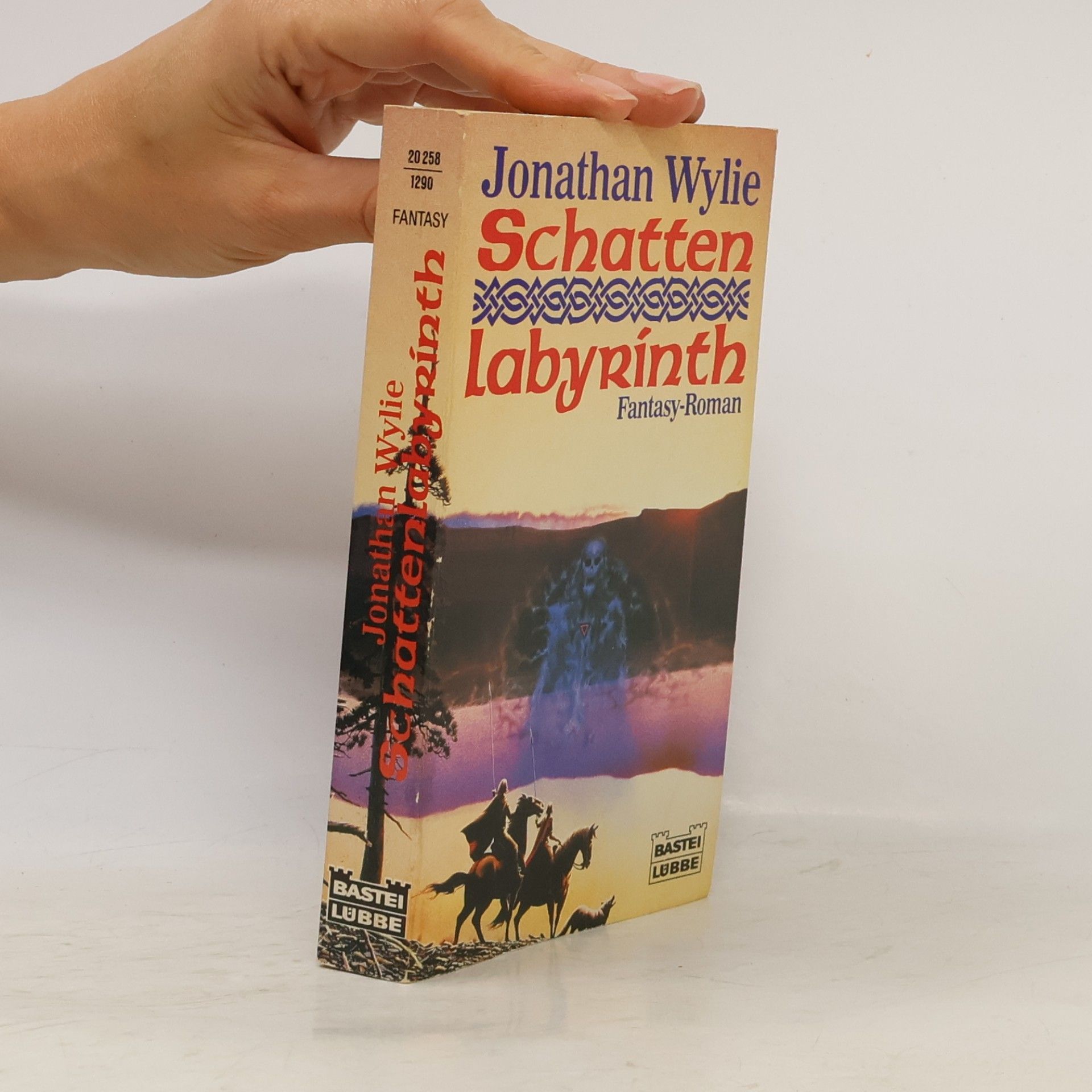 Jonathan Wylie Schatten-Labyrinth