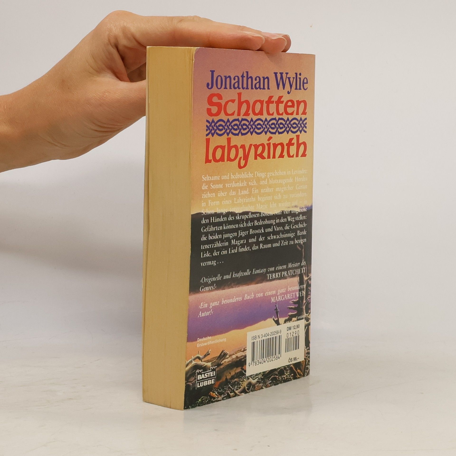 Jonathan Wylie Schatten-Labyrinth