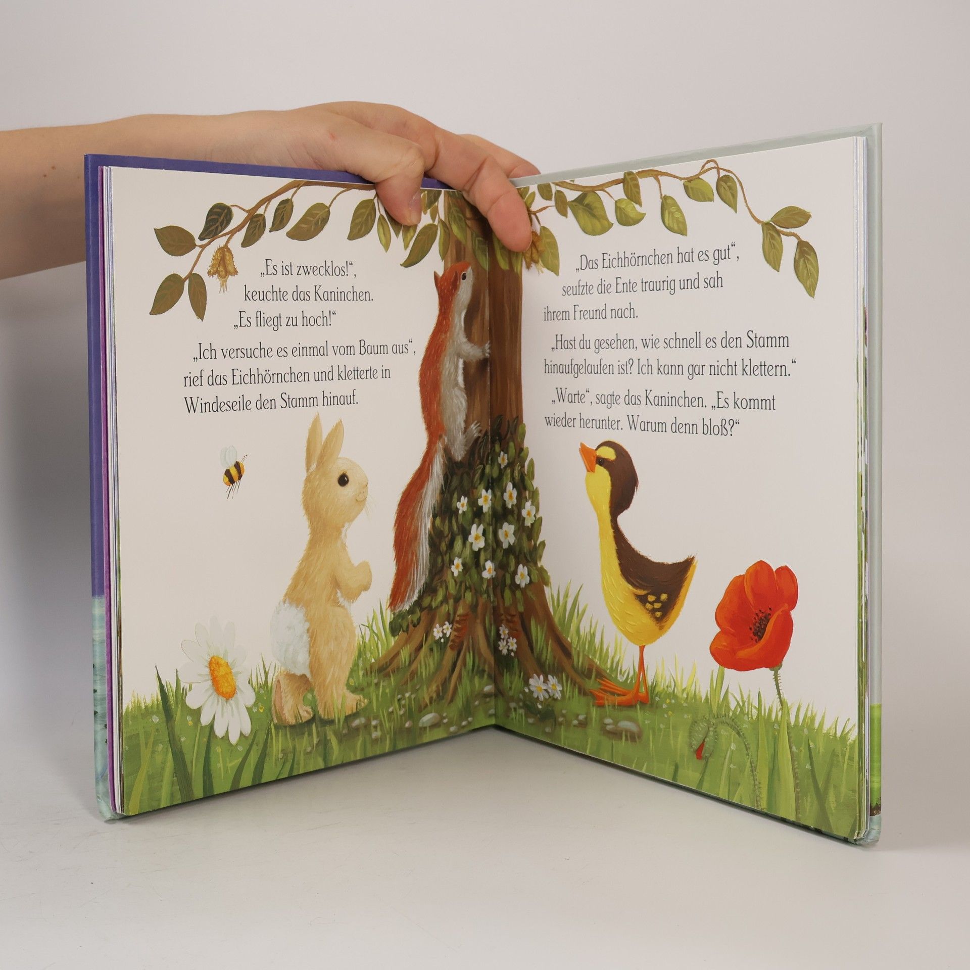 Auteurscollectief Die kleine Ente. Lesen & fühlen