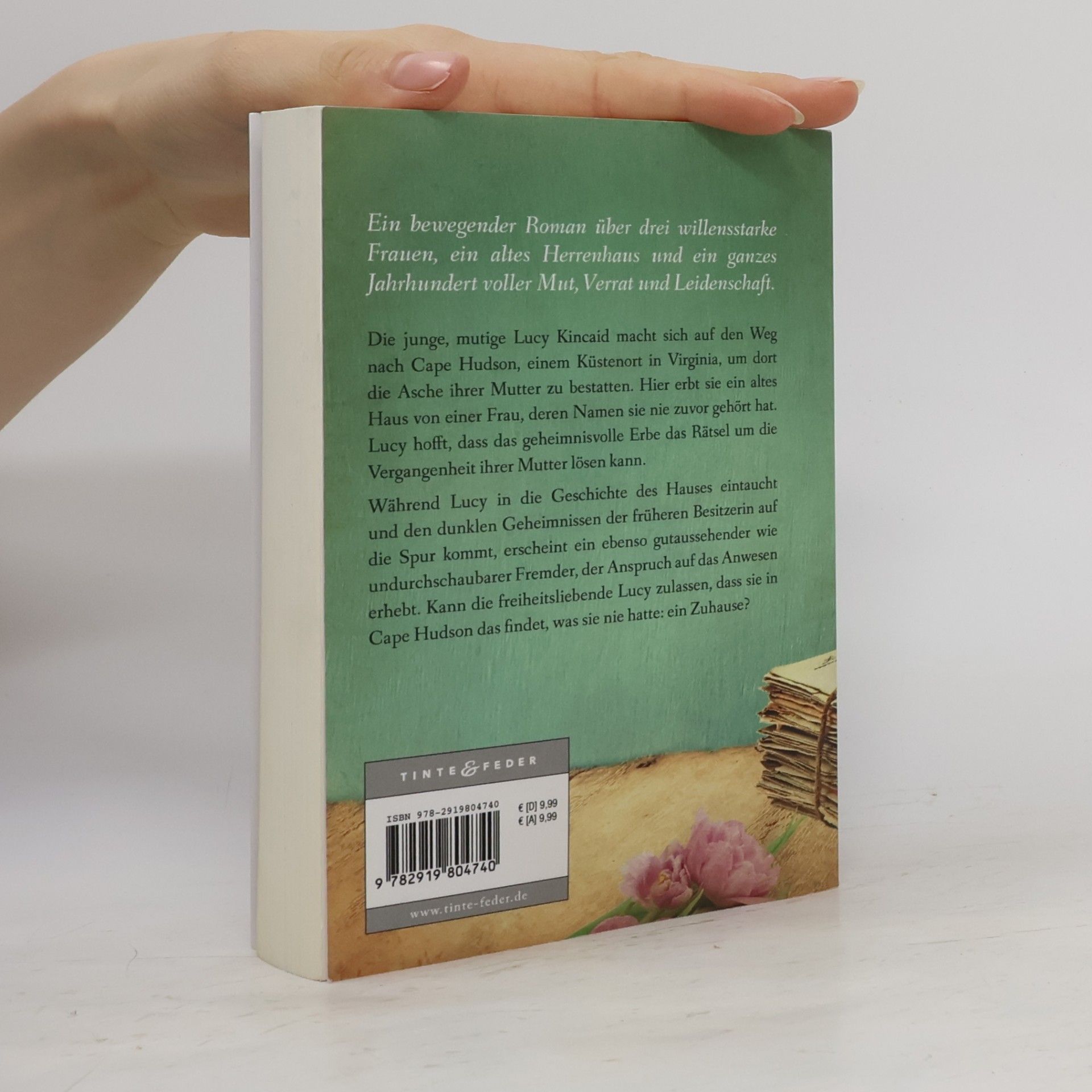 Mary Ellen Taylor Cape Hudson - 1: Das Haus an der Bucht