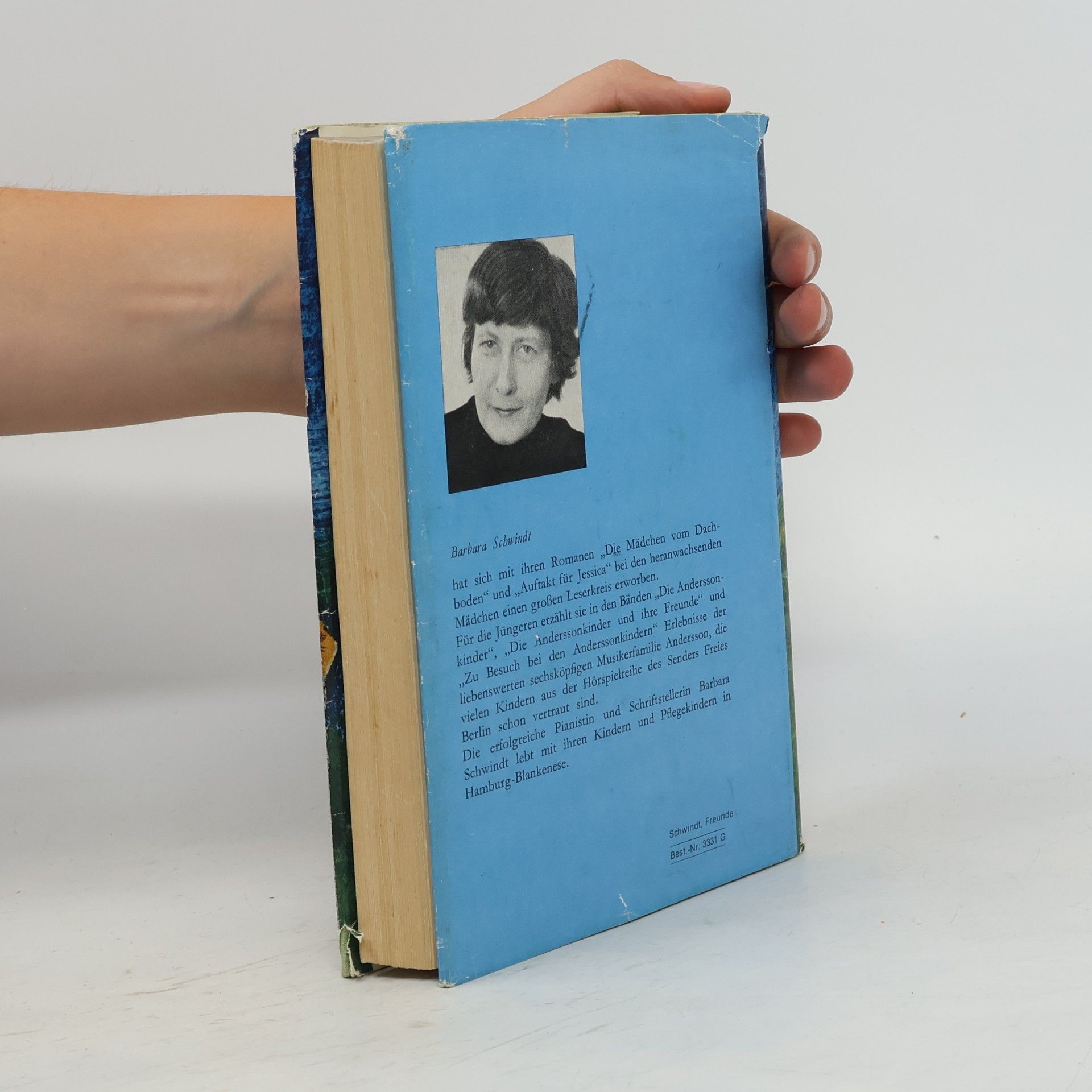 Barbara Schwindt Die Anderssonkinder und ihre Freunde