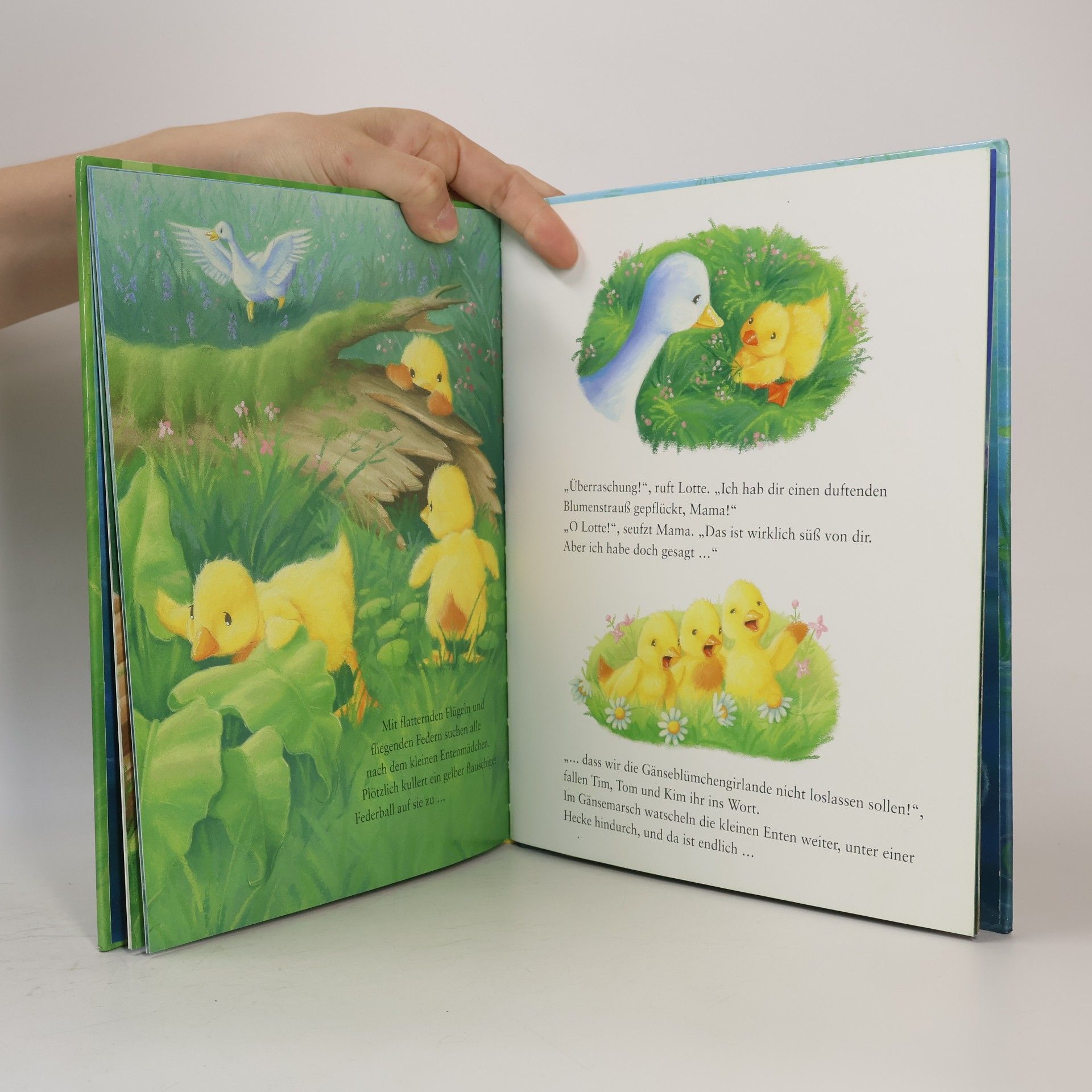 Tracey Corderoy Lotte und die Gänseblümchen