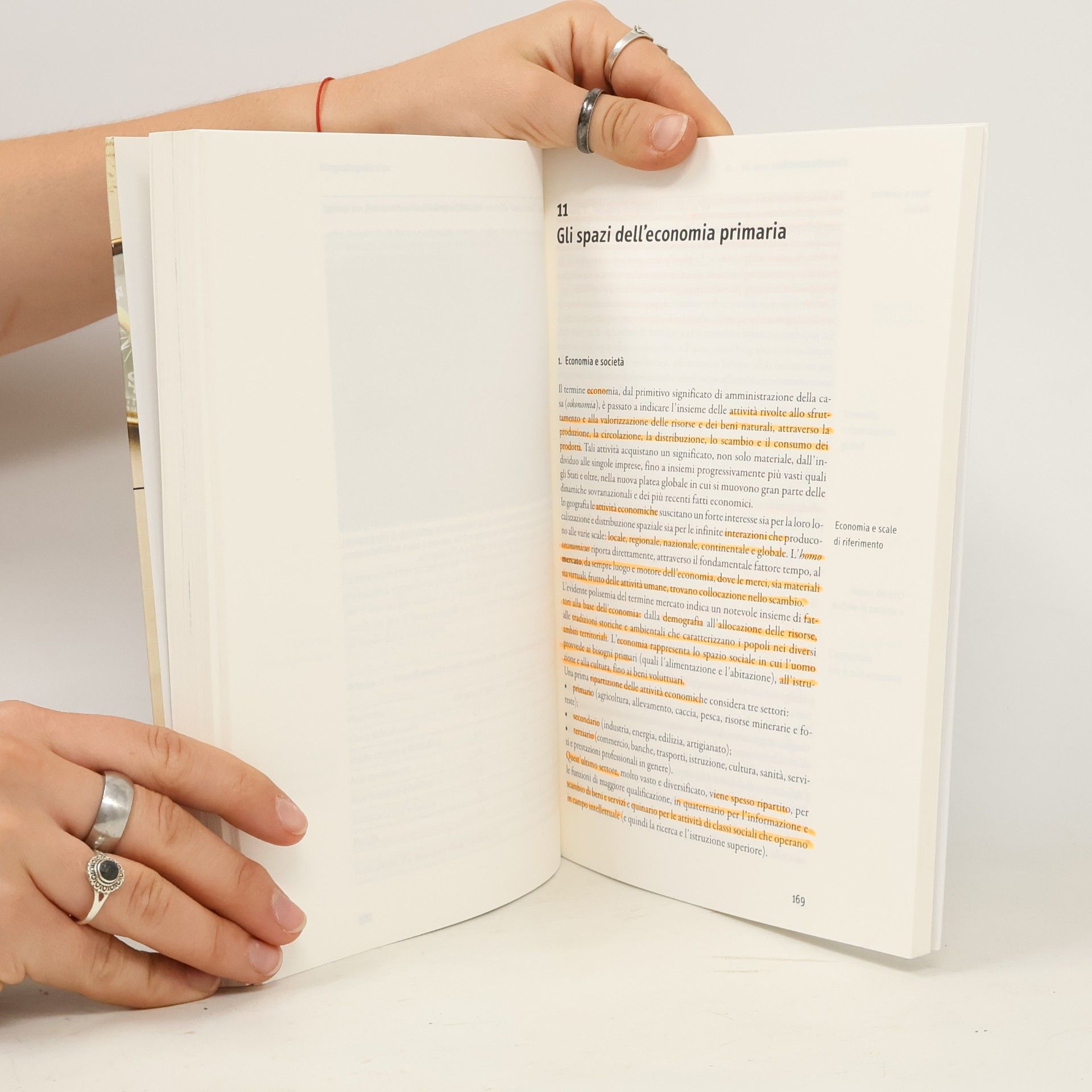 Gino De Vecchis Geografia generale. Un'introduzione