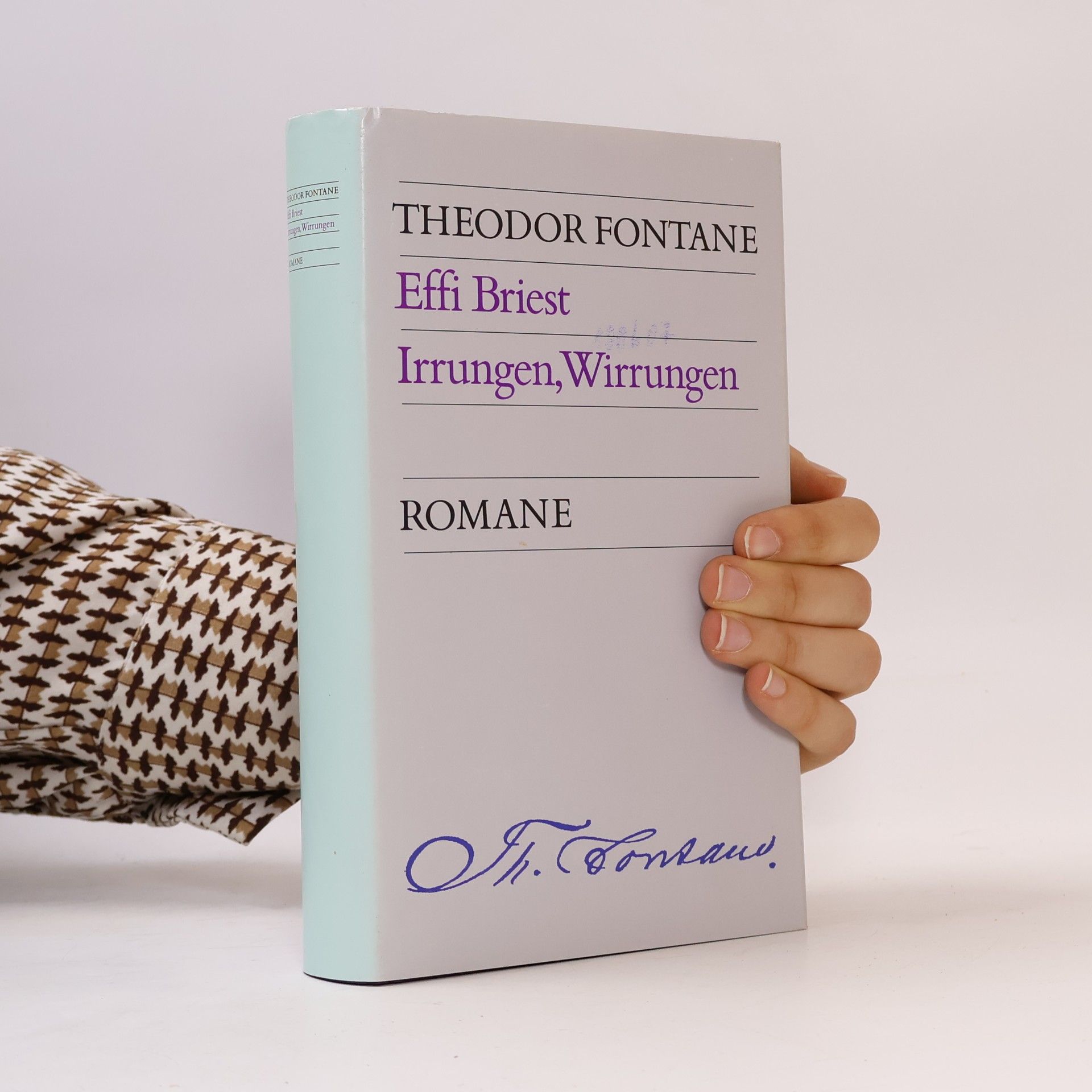 Theodor Fontane Effi Briest. Irrungen, Wirrungen