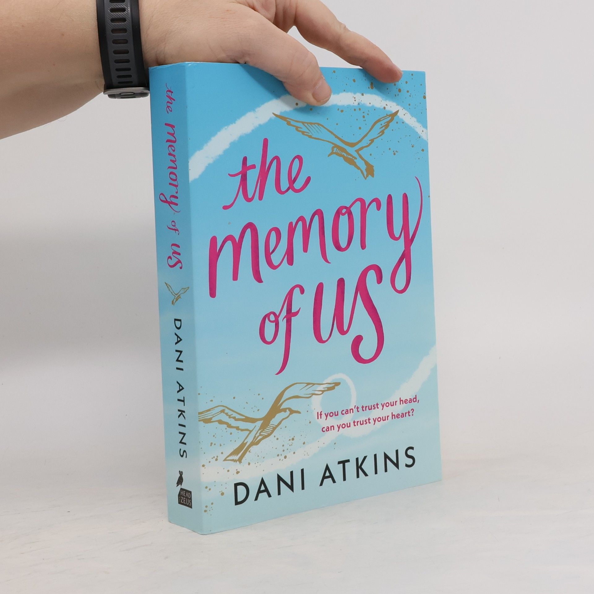 Dani Atkins The Memory of Us