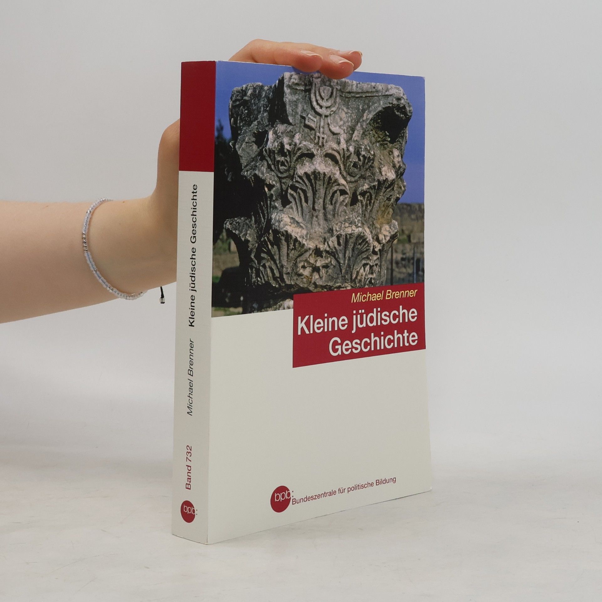 Michael Brenner Kleine jüdische Geschichte