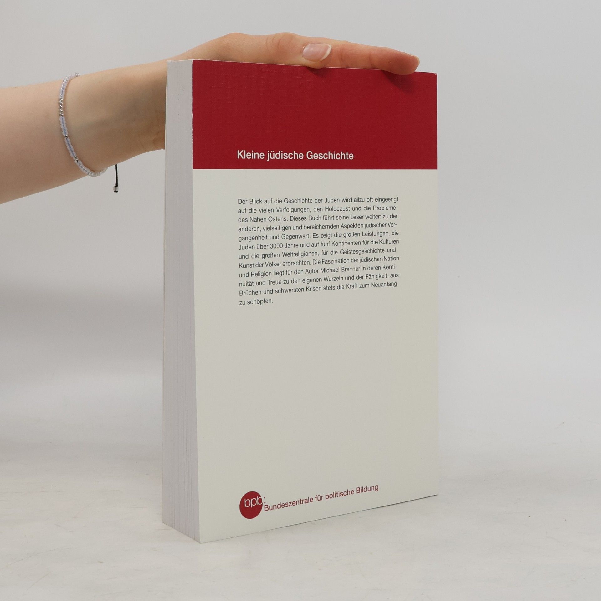 Michael A. Meyer Kleine jüdische Geschichte