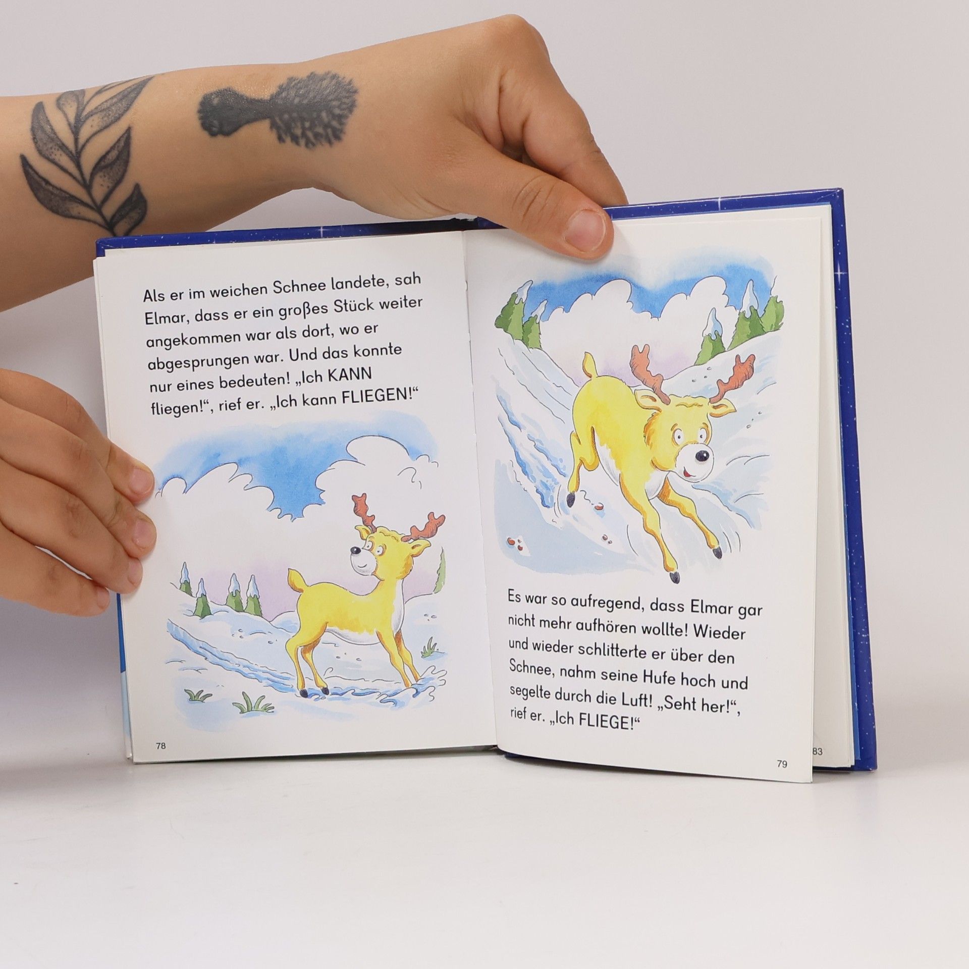 Maureen Spurgeon Der Weihnachtsmann und der Schlitten