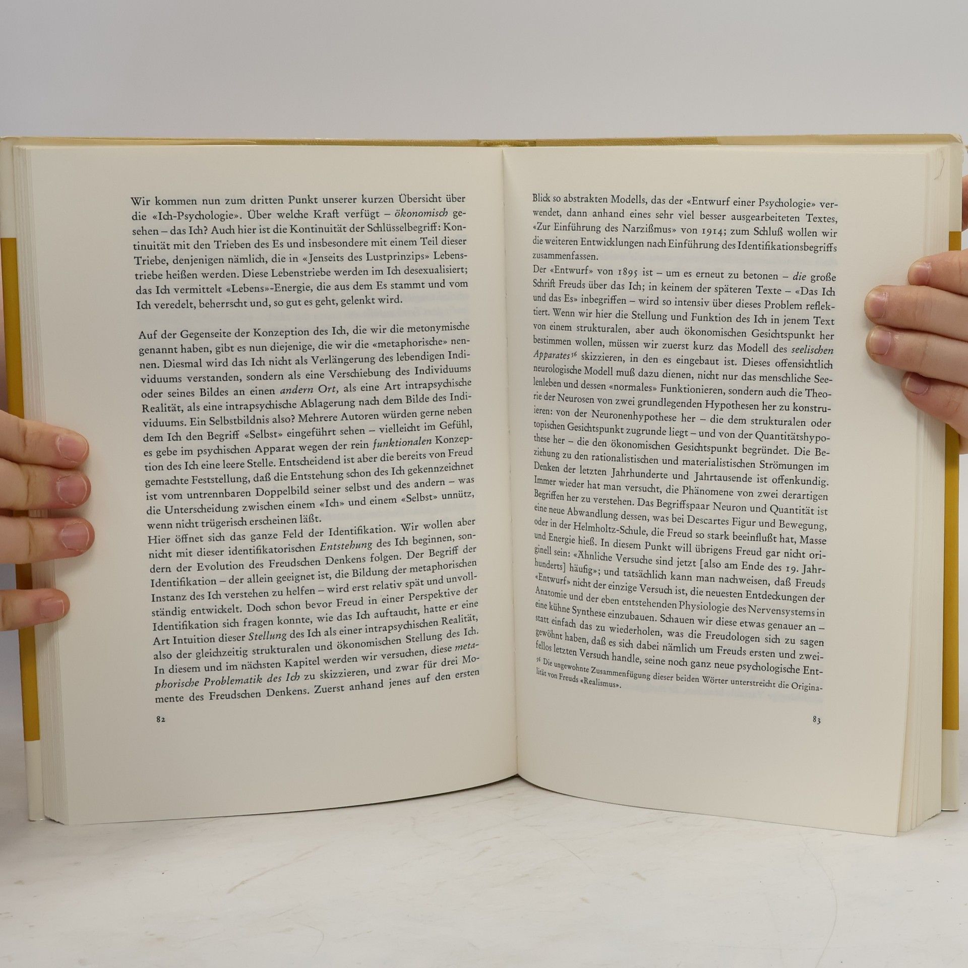 Jean Laplanche Leben und Tod in der Psychoanalyse