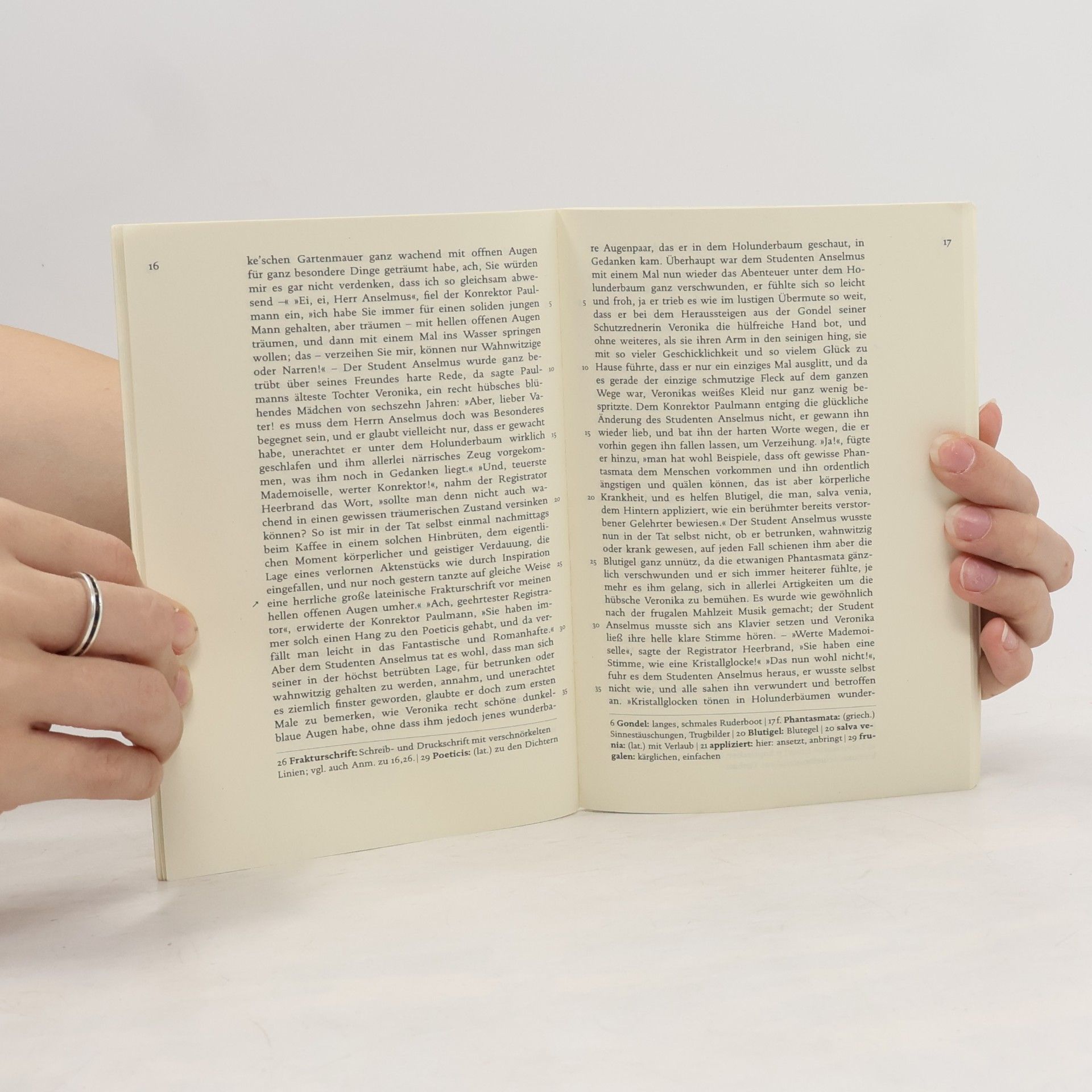 E. T. A. Hoffmann Der goldne Topf