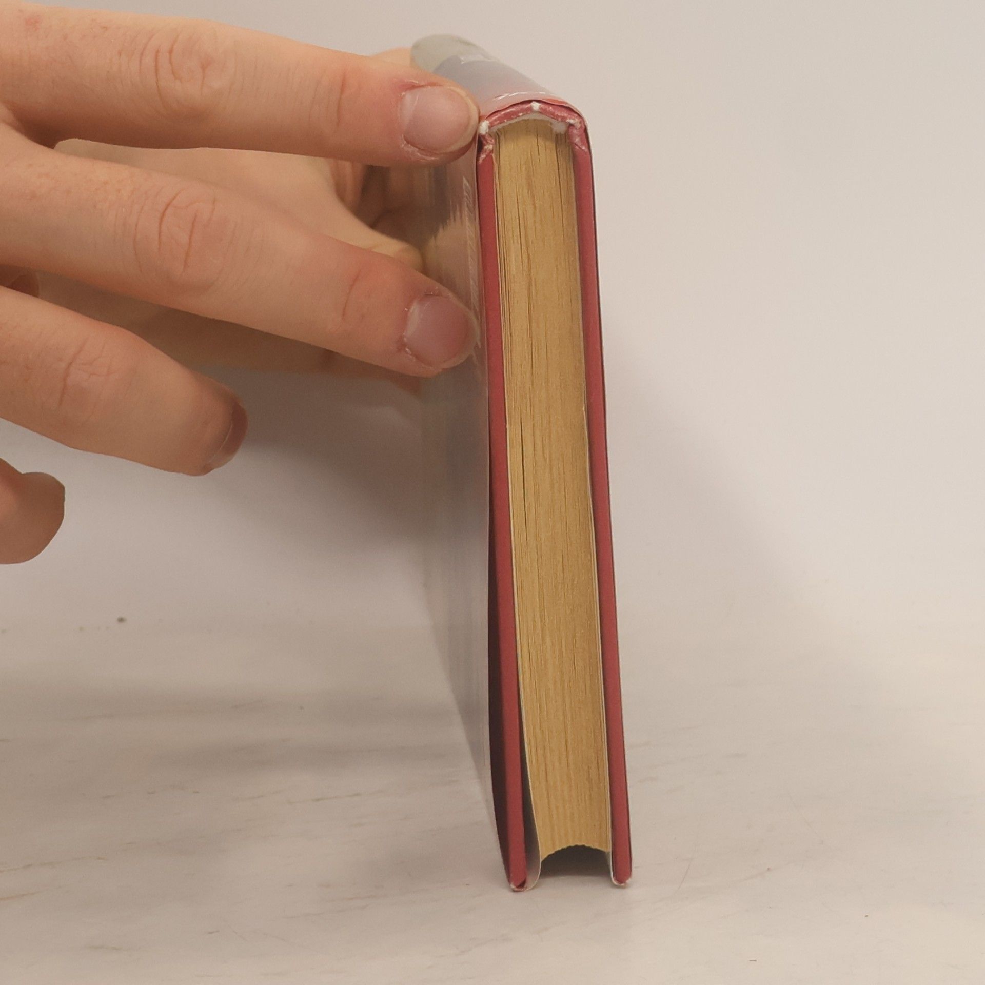 Danielle Steel Pět dní v Paříži