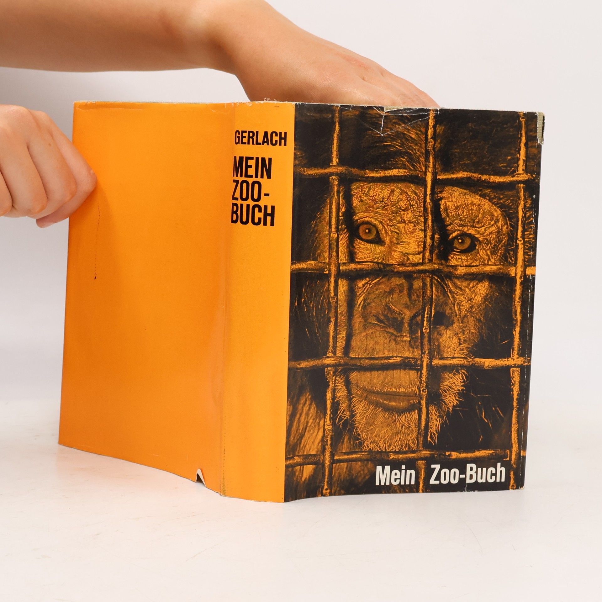 Richard Gerlach Mein Zoo-Buch