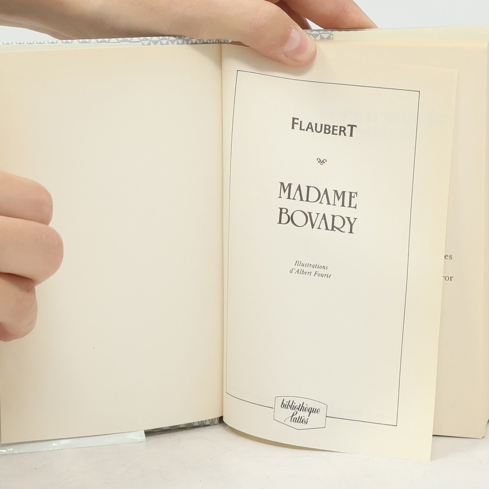 Gustave Flaubert Madame Bovary