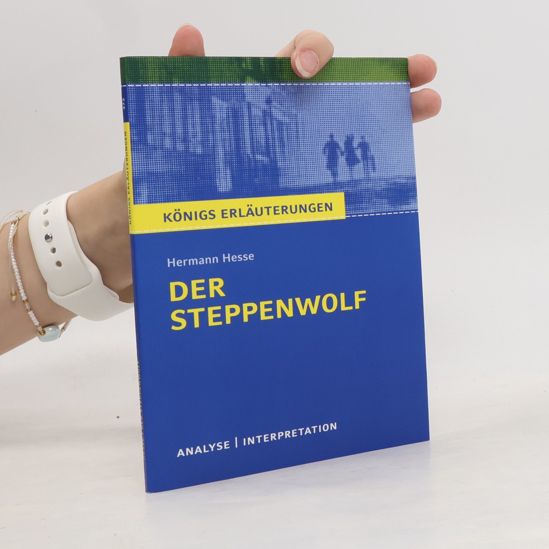 Hermann Hesse Königs Erläuterungen. Der Steppenwolf