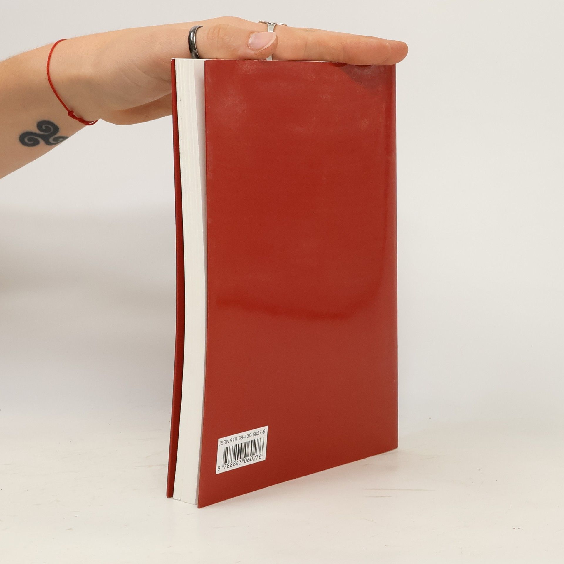 Emma Beseghi La letteratura invisibile