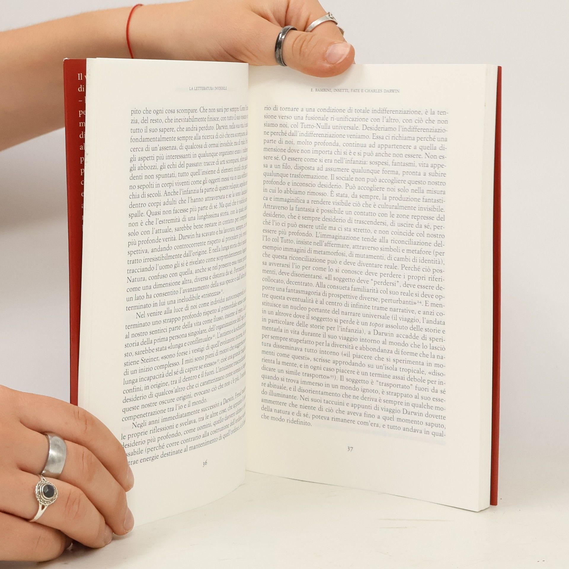 Emma Beseghi La letteratura invisibile