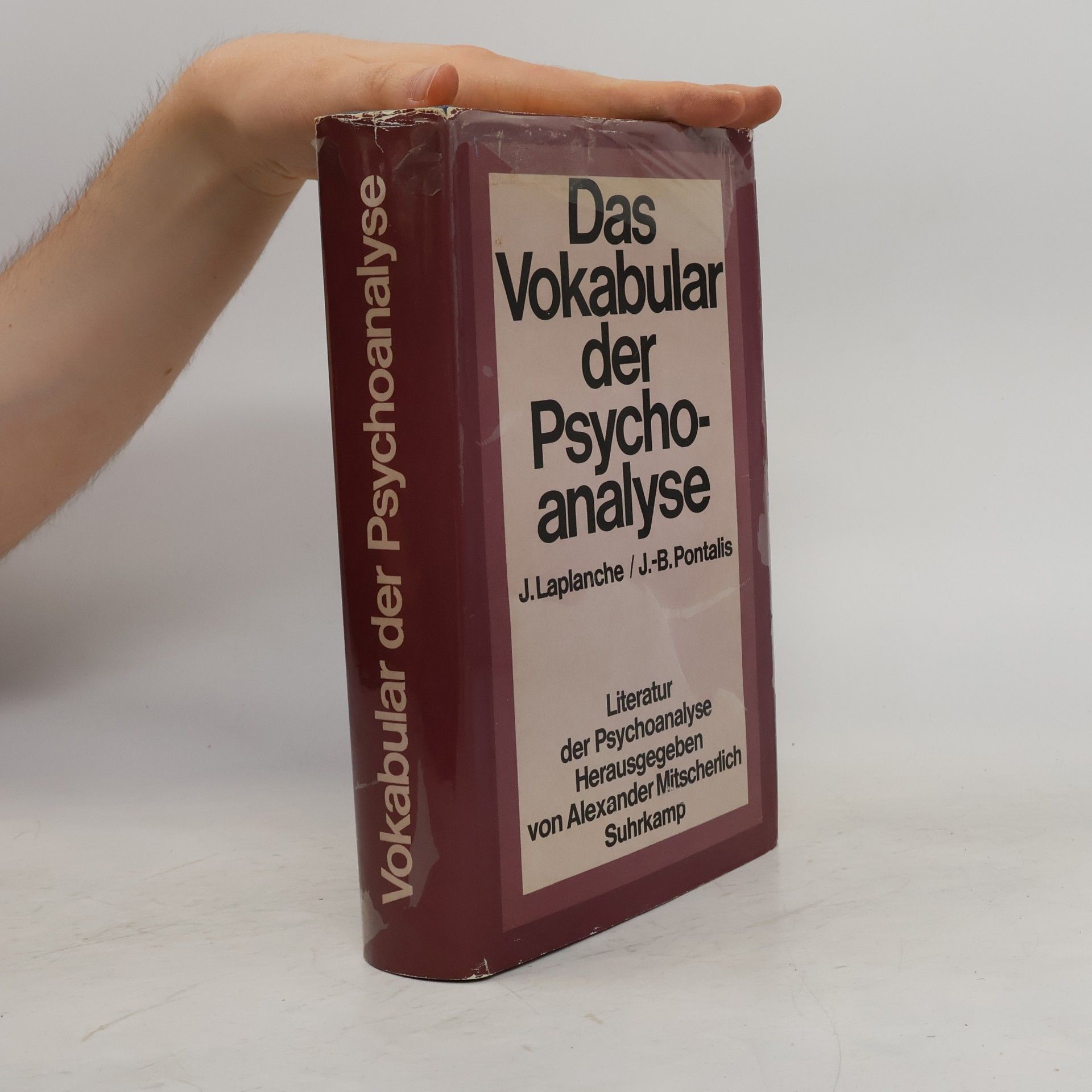 Das Vokabular der Psychoanalyse