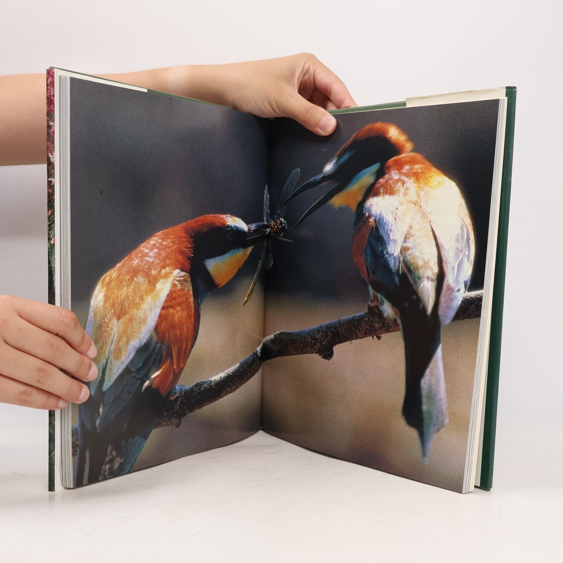 Claus-Peter Lieckfeld Naturerbe Europa. Alte Welt - Neue Chancen