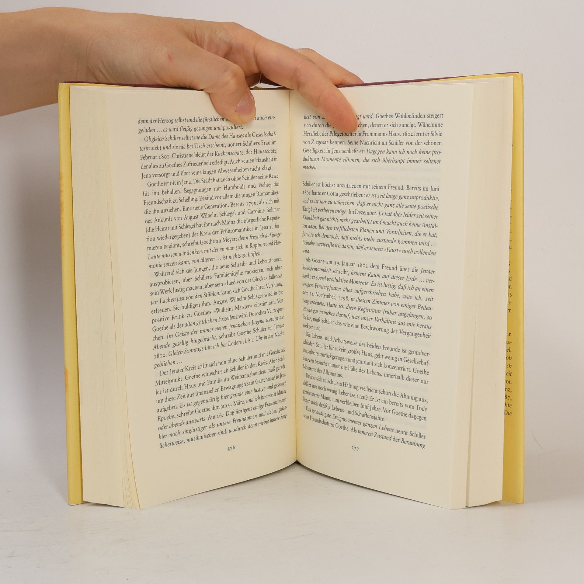 Sigrid Damm Christiane und Goethe