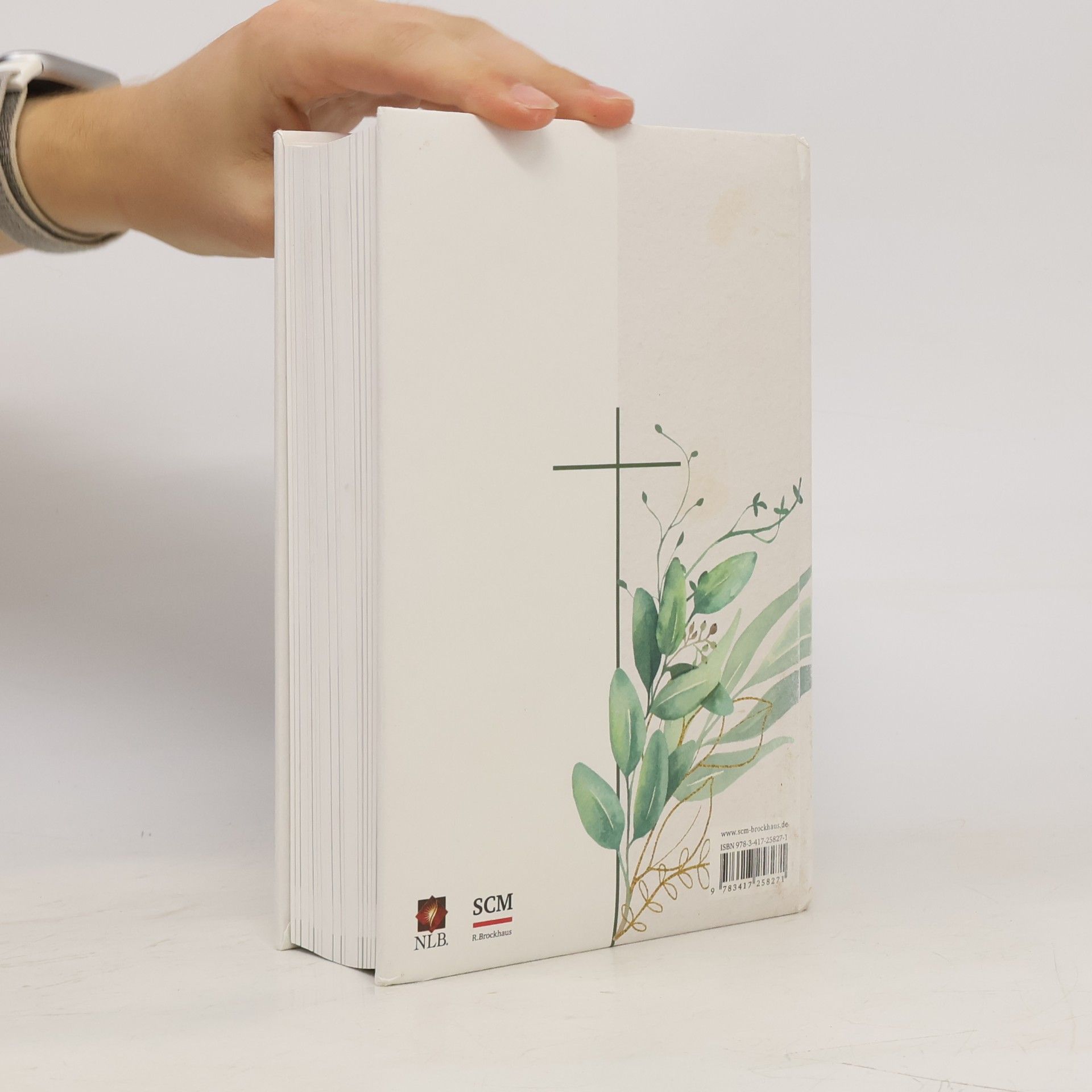 Frauke Bielefeldt Neues Leben. Die Bibel für Frauen