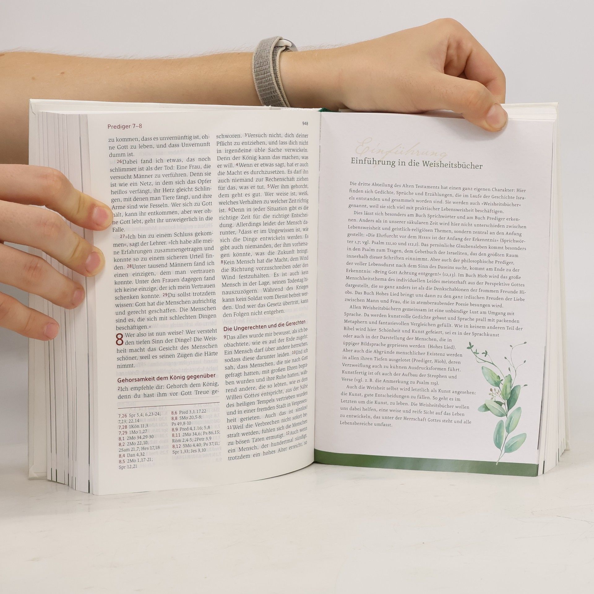 Frauke Bielefeldt Neues Leben. Die Bibel für Frauen