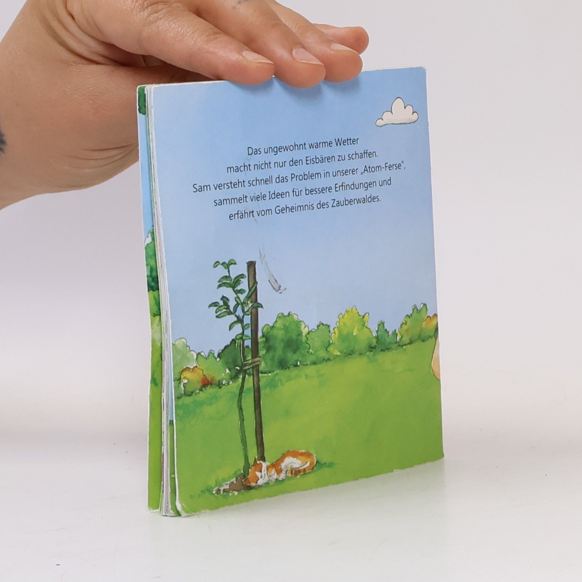 Bine Penz Sam und der Klimaplan