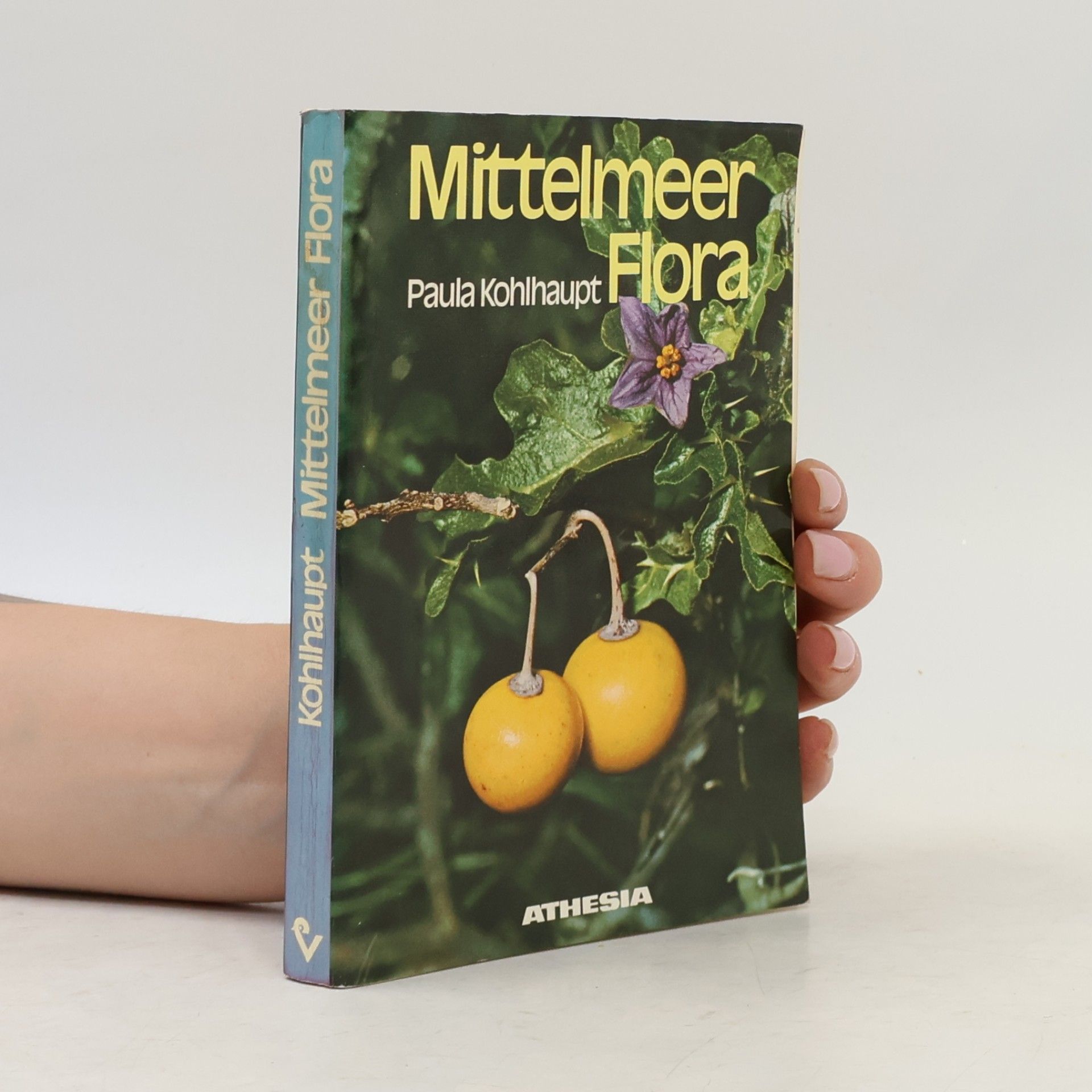 Mittelmeer-Flora