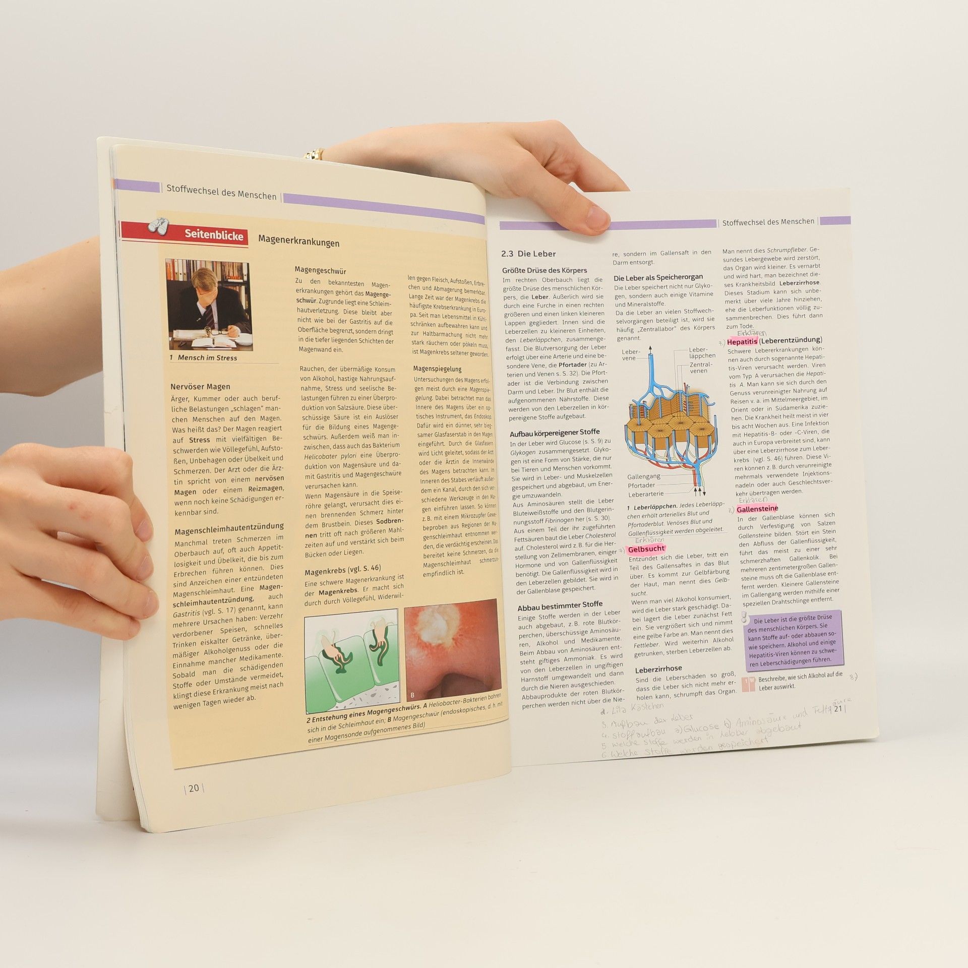 Autorenkollektiv Bio Logisch 4